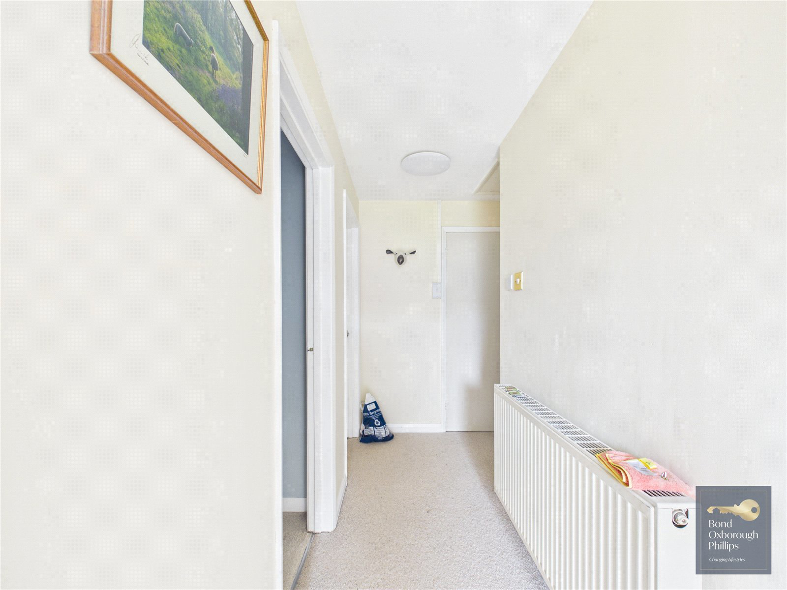 Little Torrington, Devon, EX38, photo 10