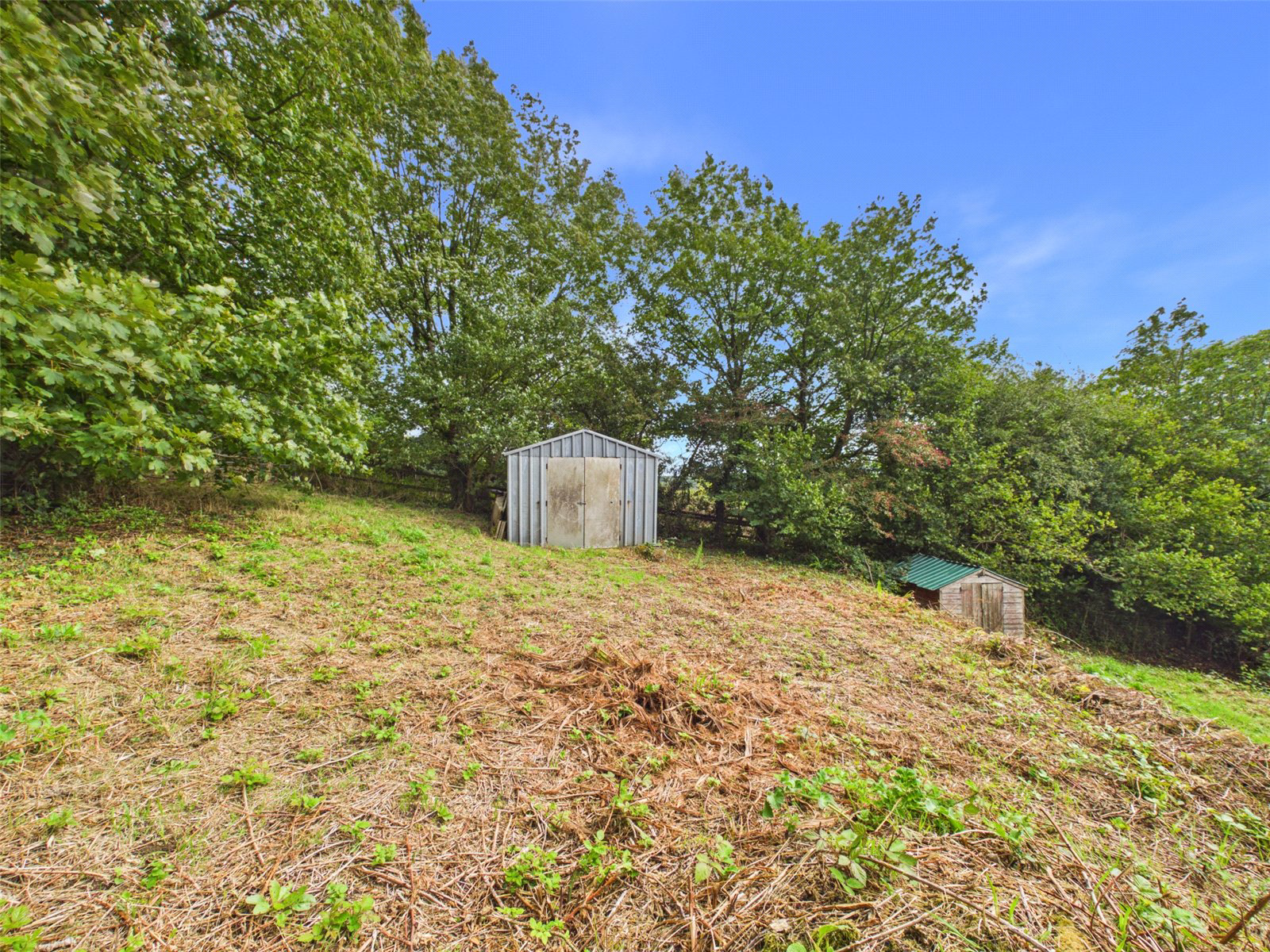 Newton St. Petrock, Holsworthy, Devon, EX22, photo 18