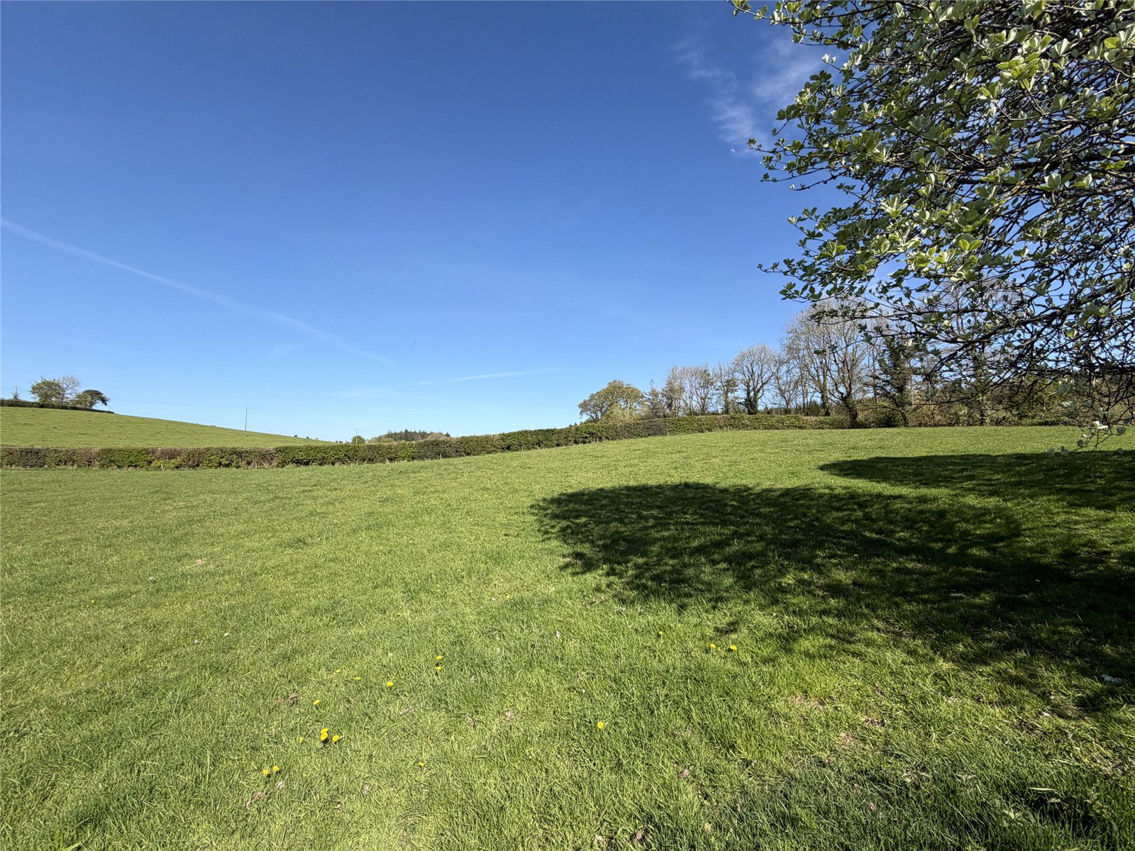 Buckland Filleigh, Beaworthy, Devon, EX21, photo 26