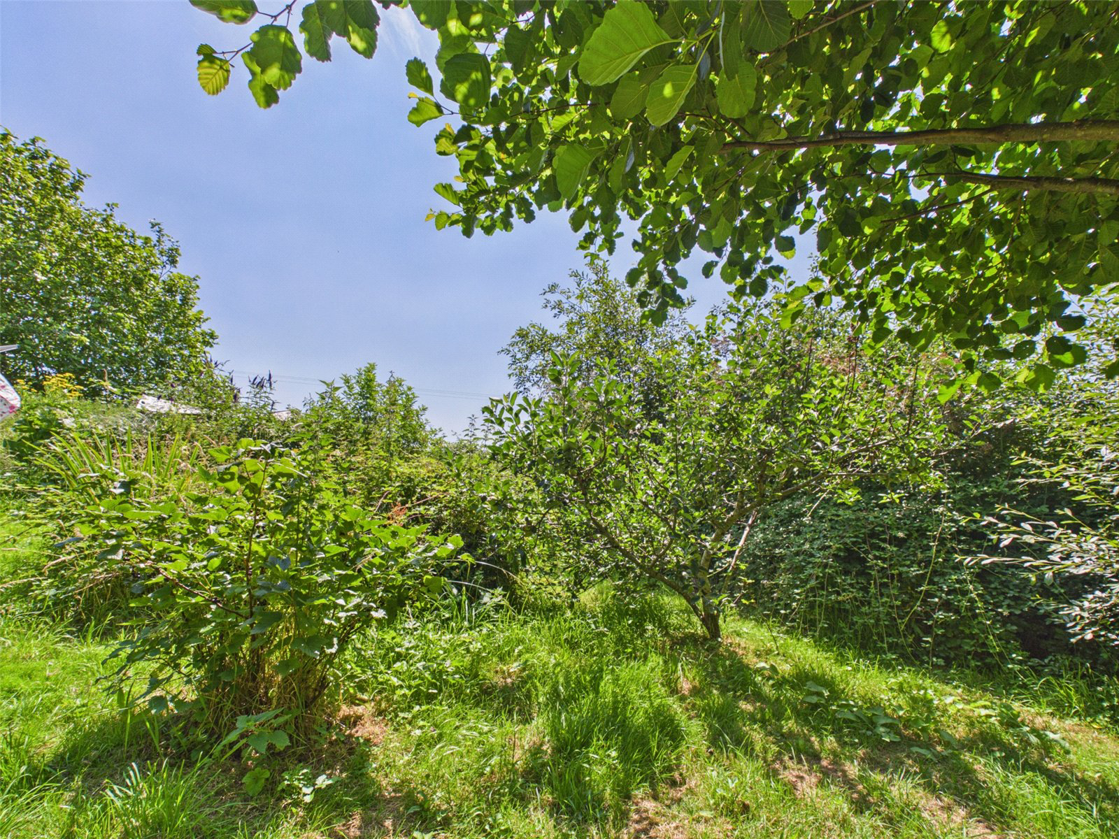 Venn Hill, Milton Abbot, Tavistock, Devon, PL19, photo 14