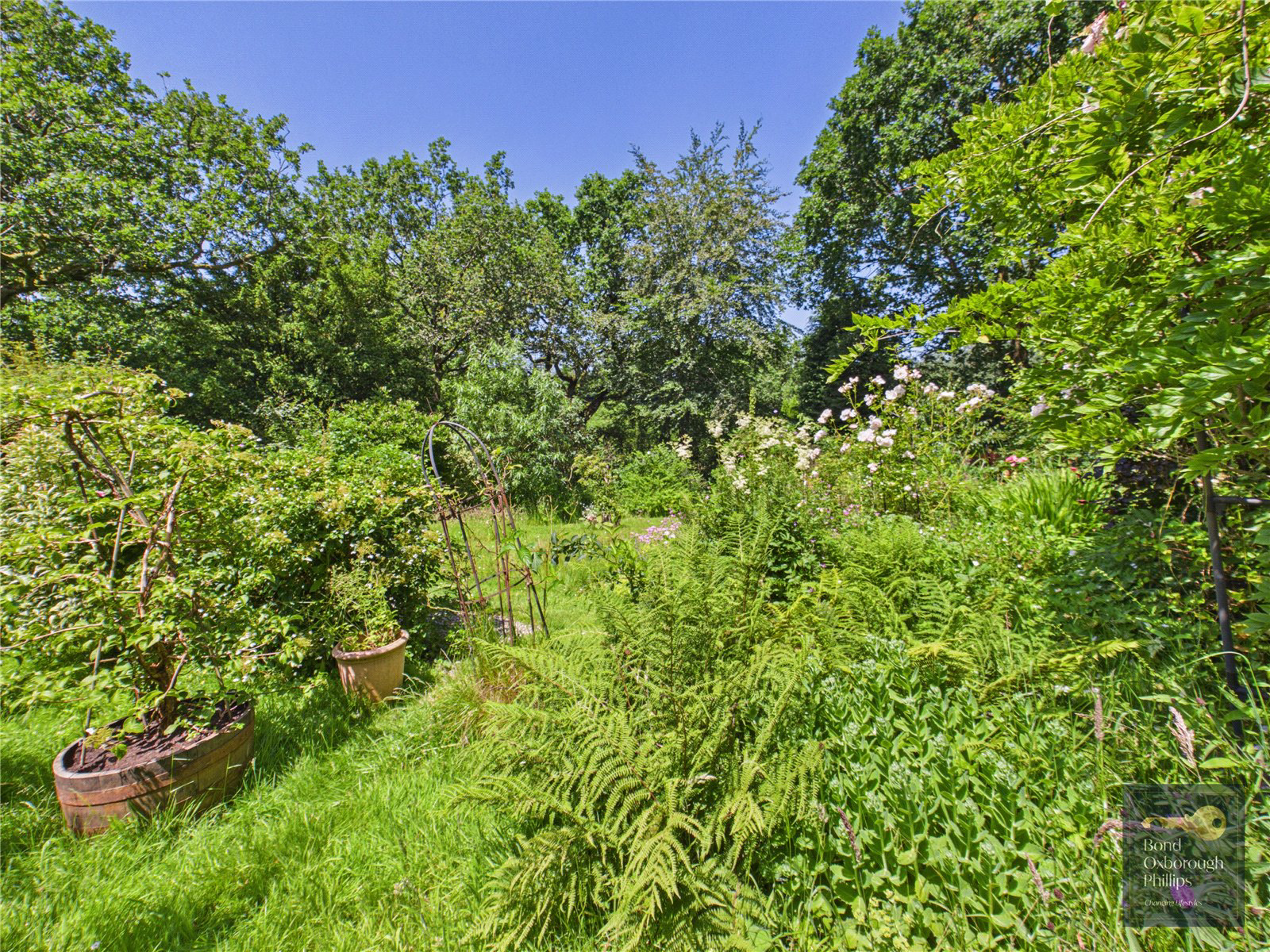Peters Marland, Torrington, Devon, EX38, photo 33
