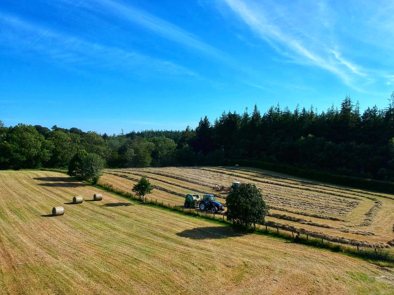 Buckland Filleigh, Beaworthy, Devon, EX21, photo 30