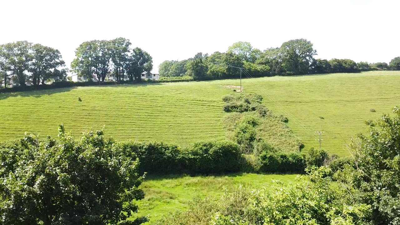 Western Terrace, Launceston, Cornwall, PL15, photo 14