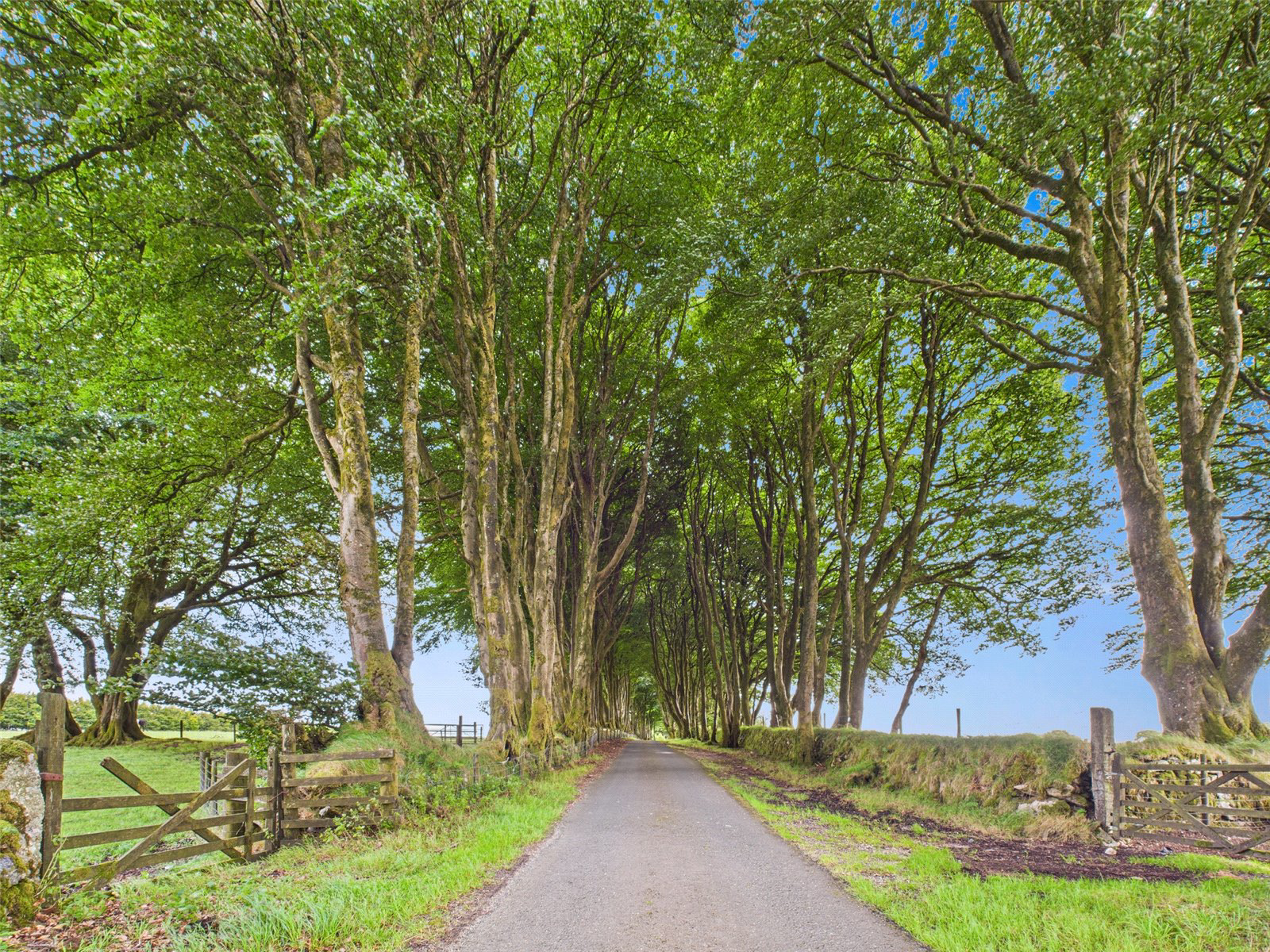 Princetown, Dartmoor, Devon, PL20, photo 4