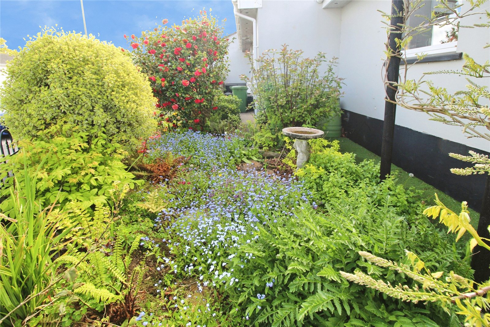 Broadlands, Bideford, Devon, EX39, photo 21