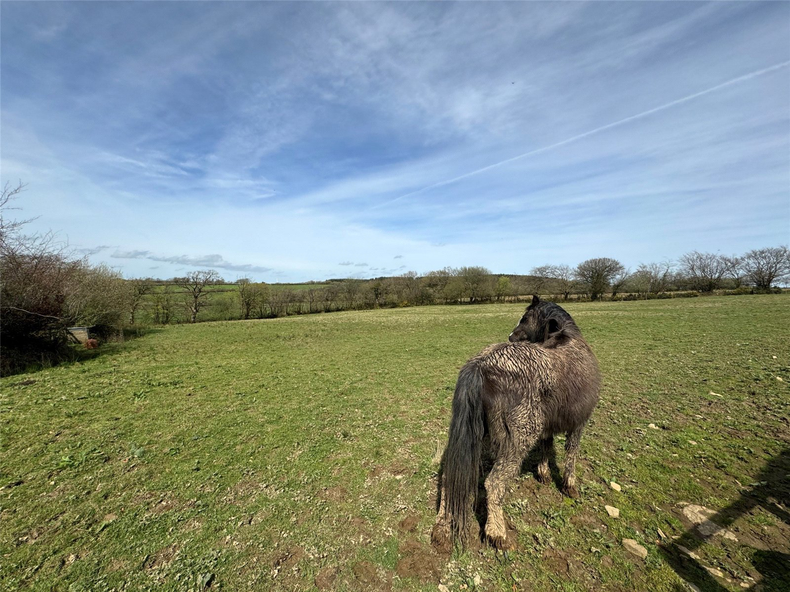 Ashwater, Beaworthy, Devon, EX21, photo 25