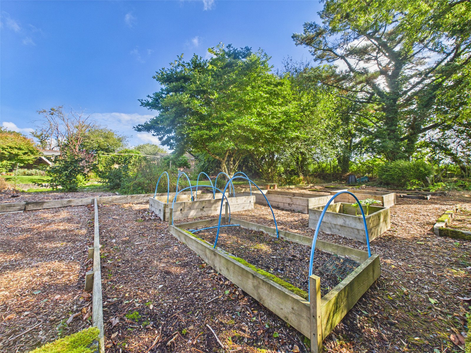 West Curry,Boyton, Launceston, Cornwall, PL15, photo 27