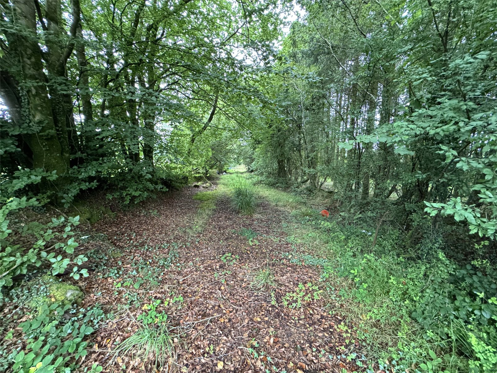 Brandis Corner, Holsworthy, Devon, EX22, photo 9
