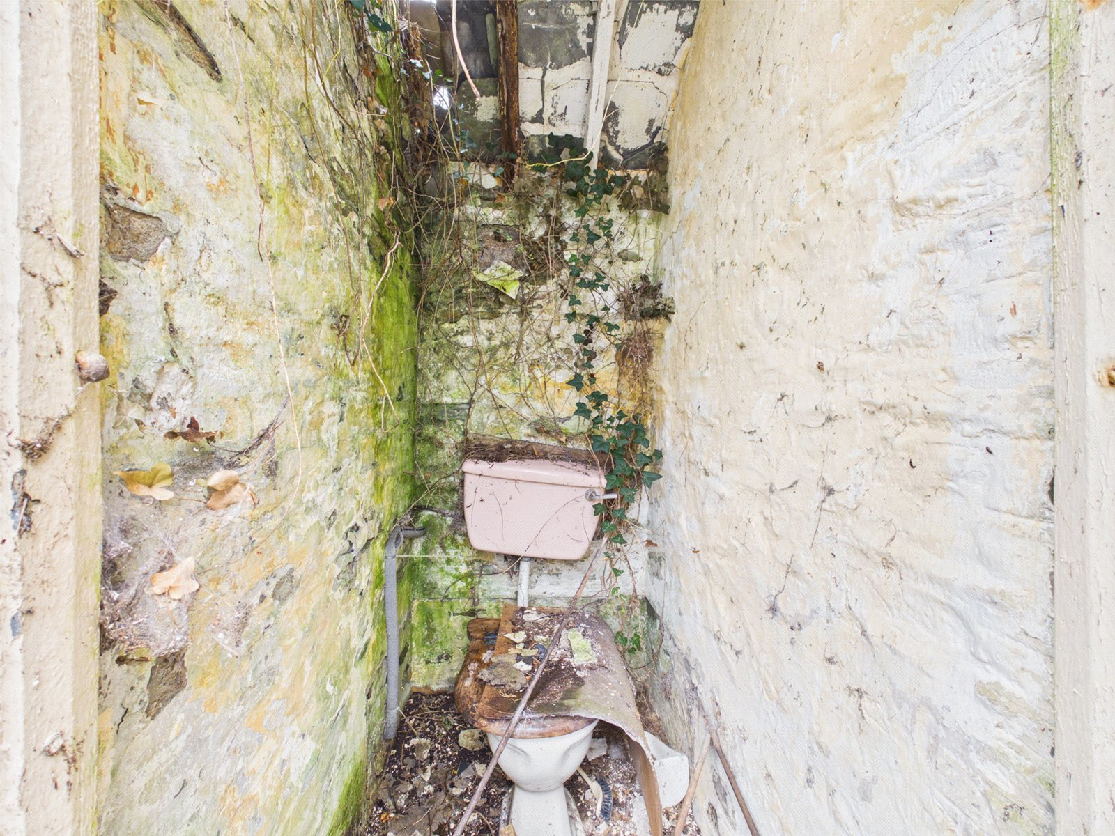 Western Side, Clawton, Holsworthy, Devon, EX22, photo 26