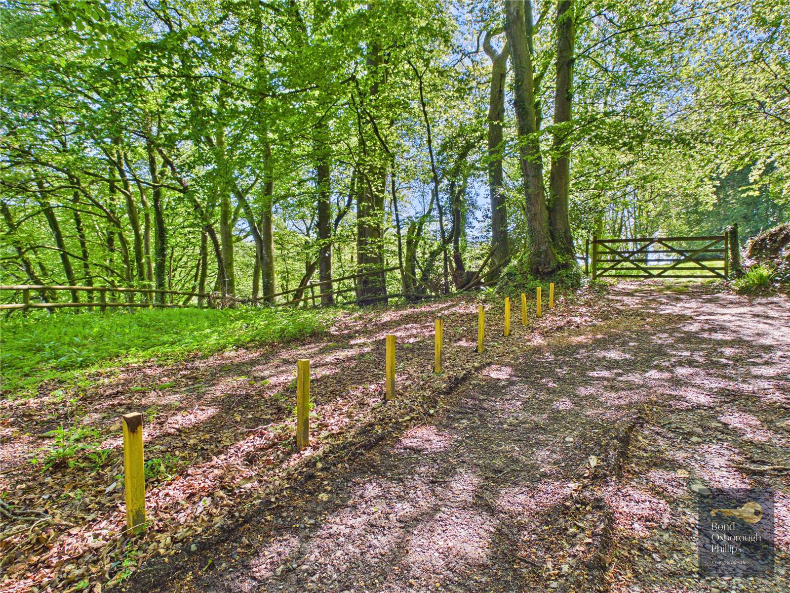 Torrington, Devon, EX38, photo 70