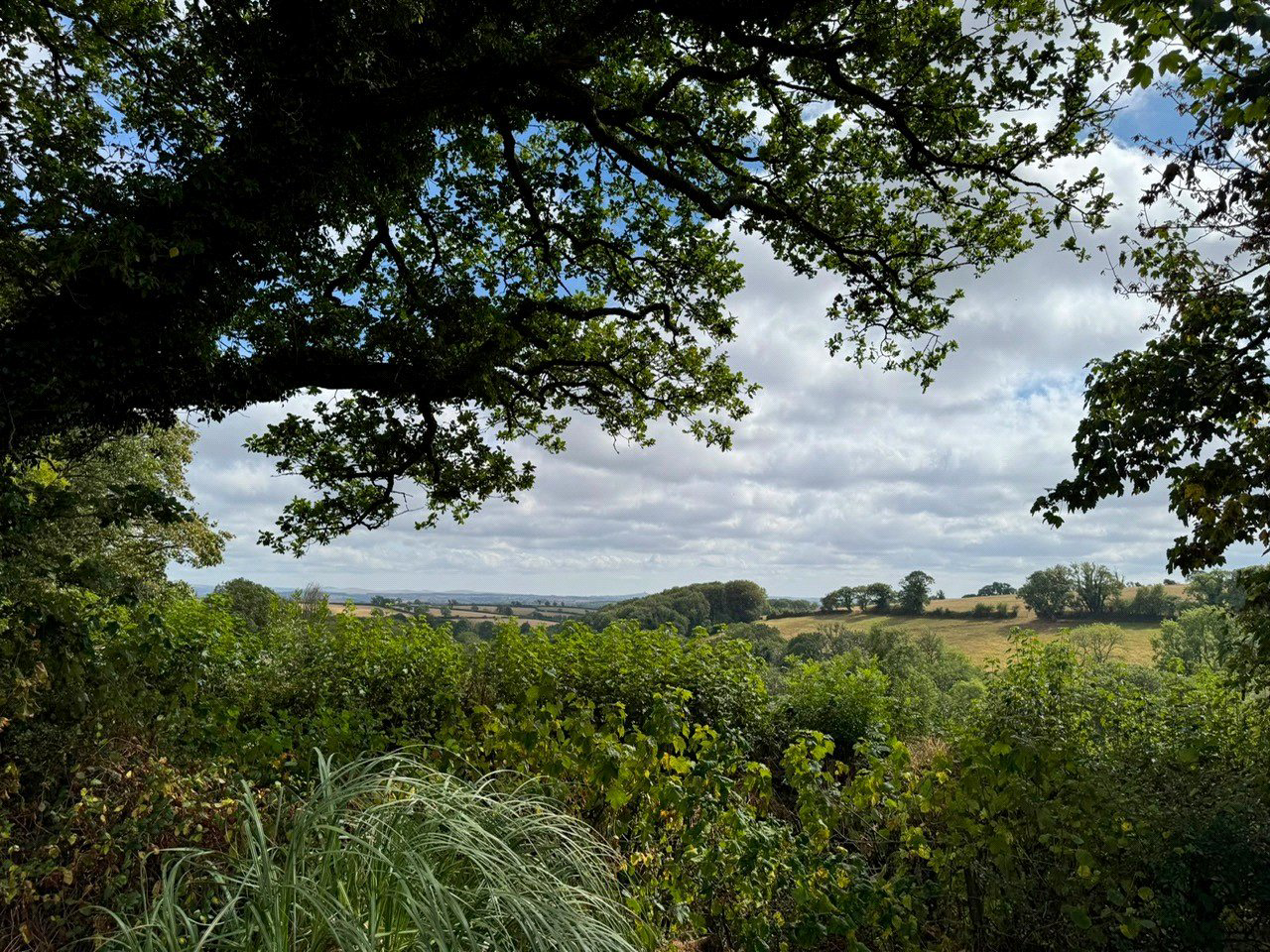 Germansweek, Beaworthy, Devon, EX21, photo 32