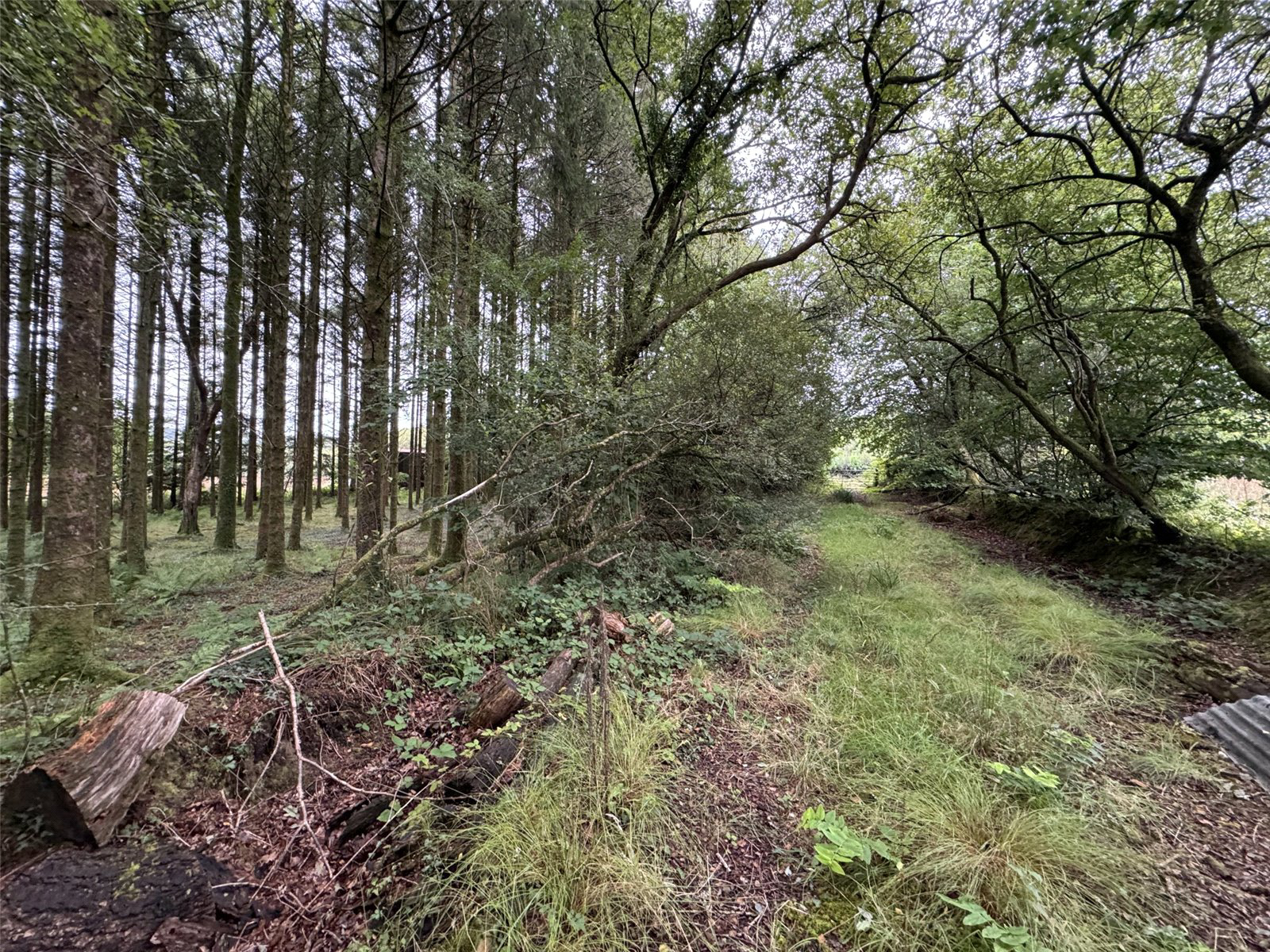Brandis Corner, Holsworthy, Devon, EX22, photo 12
