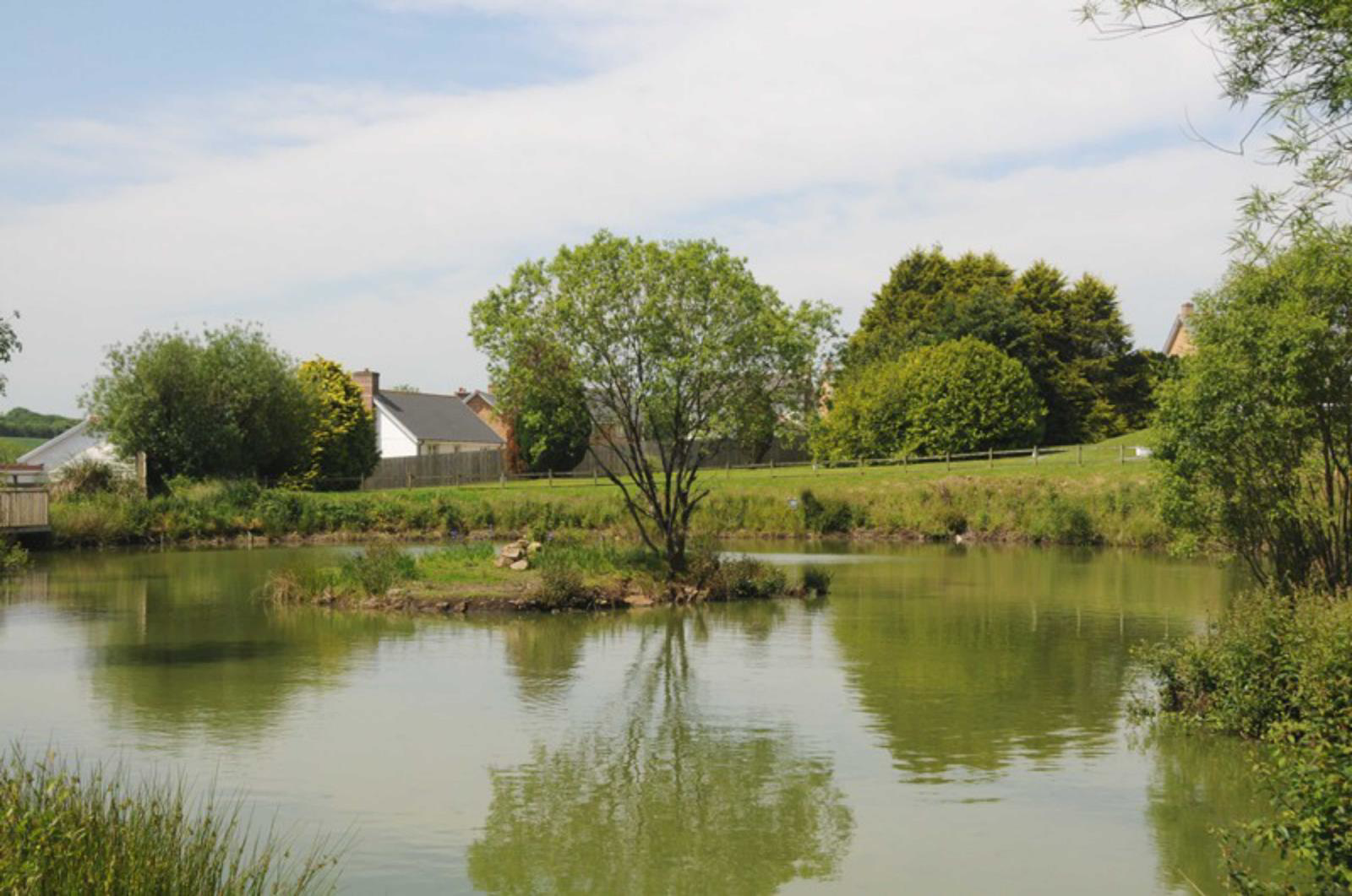 Rydon Village, Holsworthy, Devon, EX22, photo 6