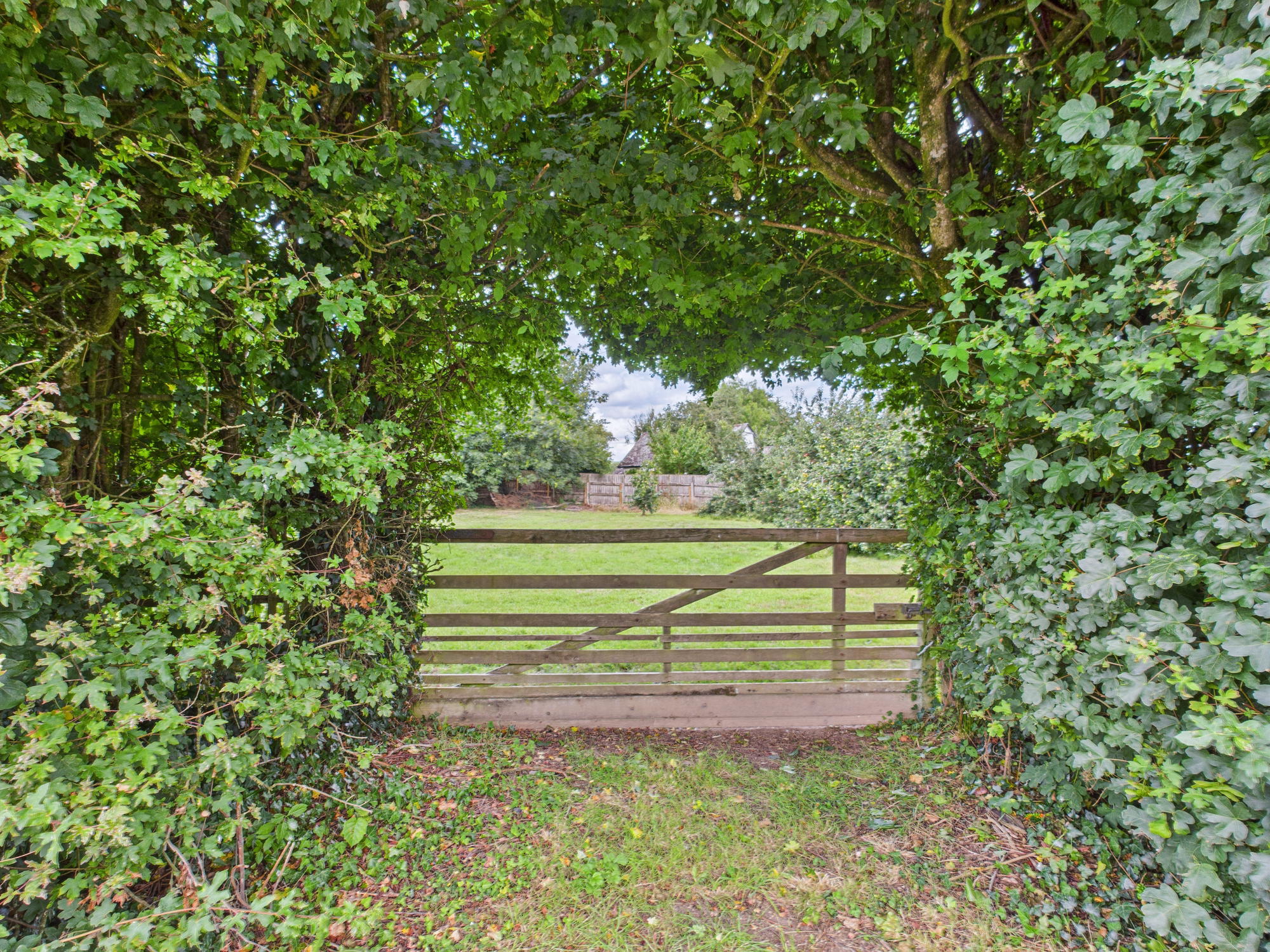 Coldridge, Crediton, Devon, EX17, photo 15