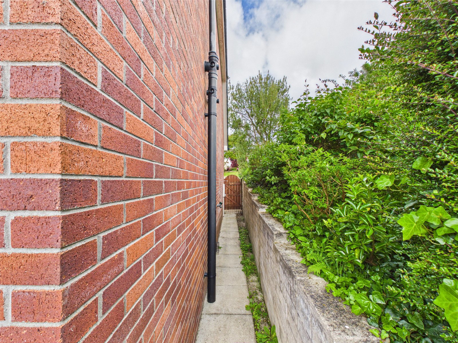 Sunnyside Meadow, Camelford, Cornwall, PL32, photo 24