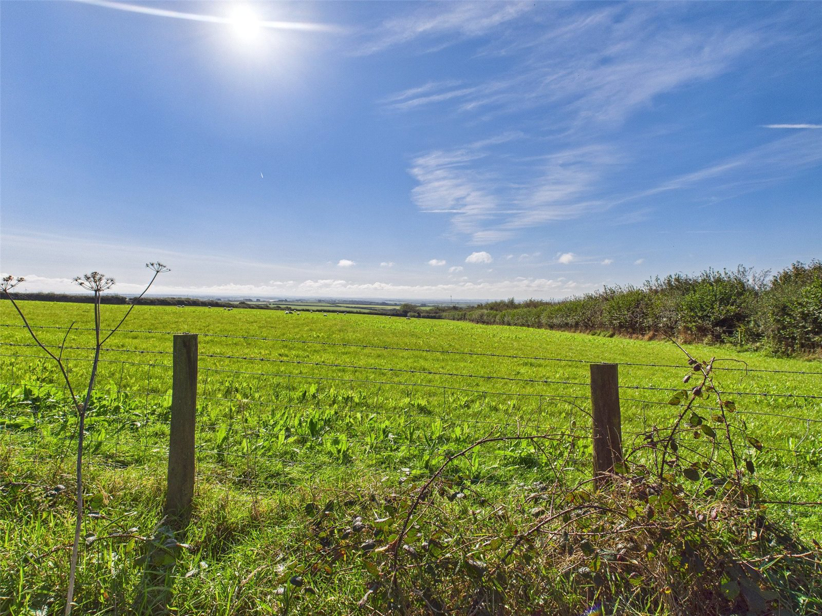 Youlstone, Bude, Cornwall, EX23, photo 28