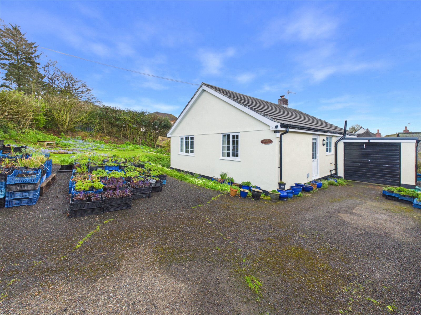 Milton Damerel, Holsworthy, Devon, EX22, photo 13