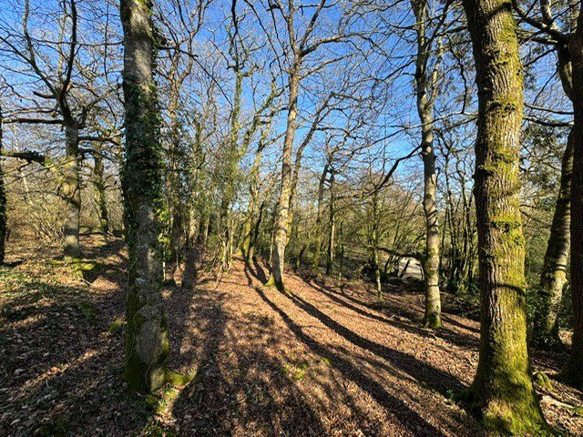 Ashwater, Beaworthy, Devon, EX21, photo 61