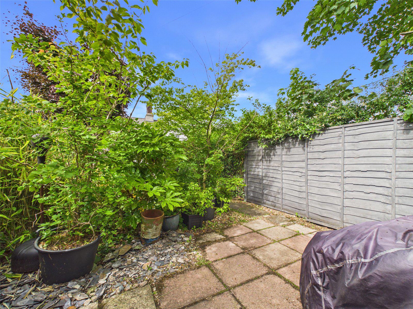 Tavistock, Devon, PL19, photo 15
