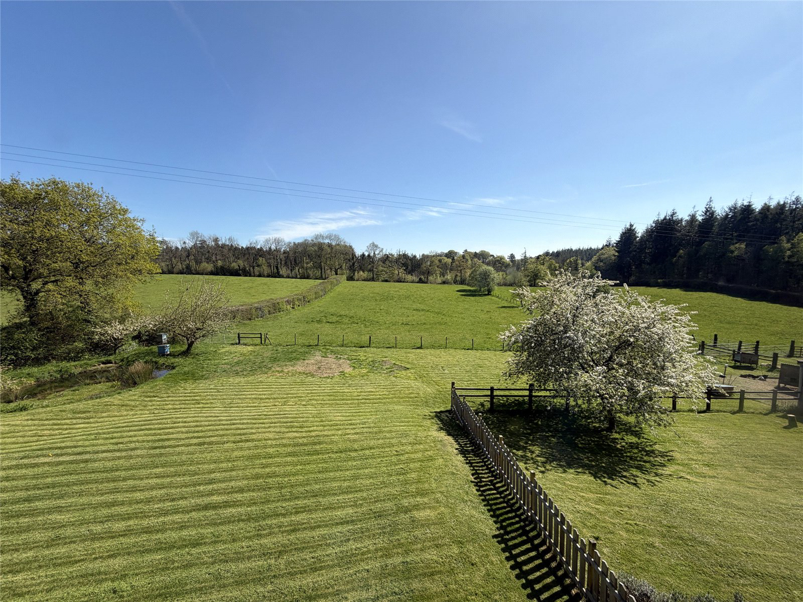 Buckland Filleigh, Beaworthy, Devon, EX21, photo 28