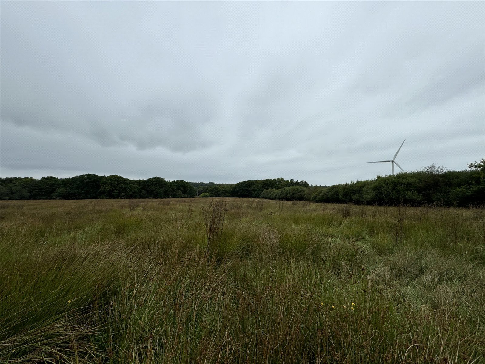 Brandis Corner, Holsworthy, Devon, EX22, photo 5