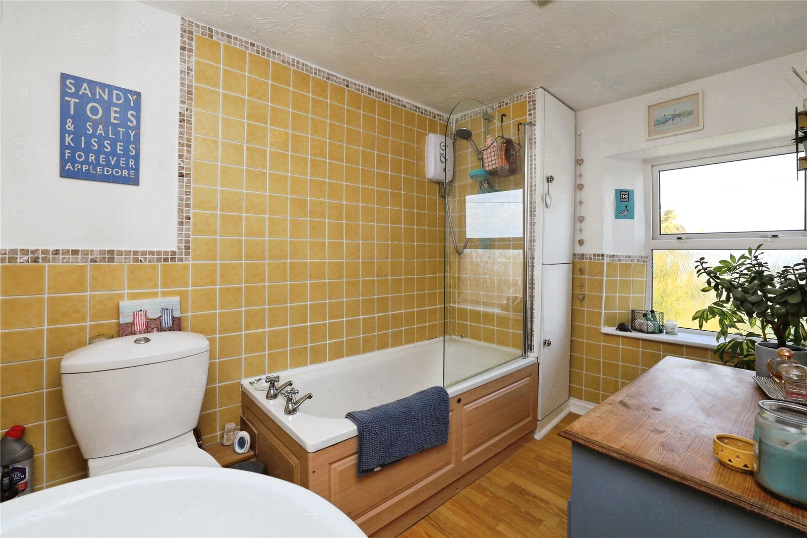 New Row, Bideford, Devon, EX39, photo 8