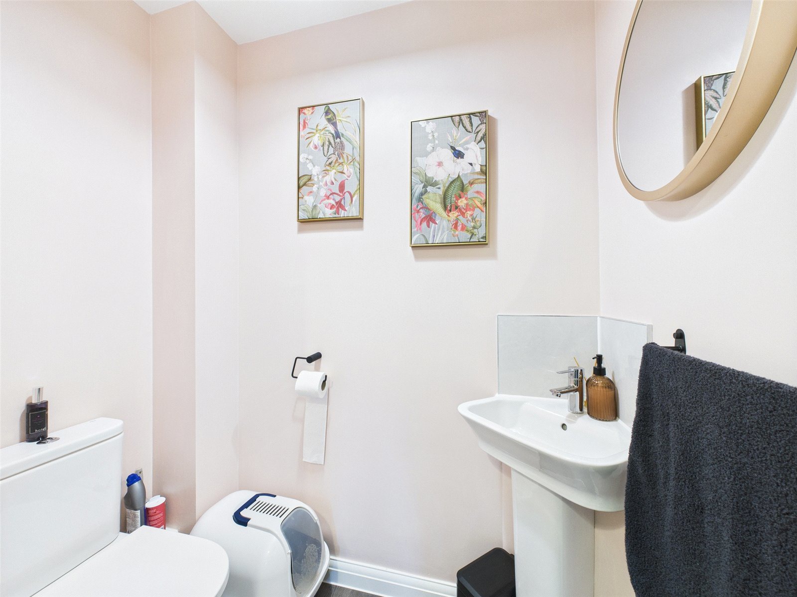 Ruby Close, Holsworthy, Devon, EX22, photo 4