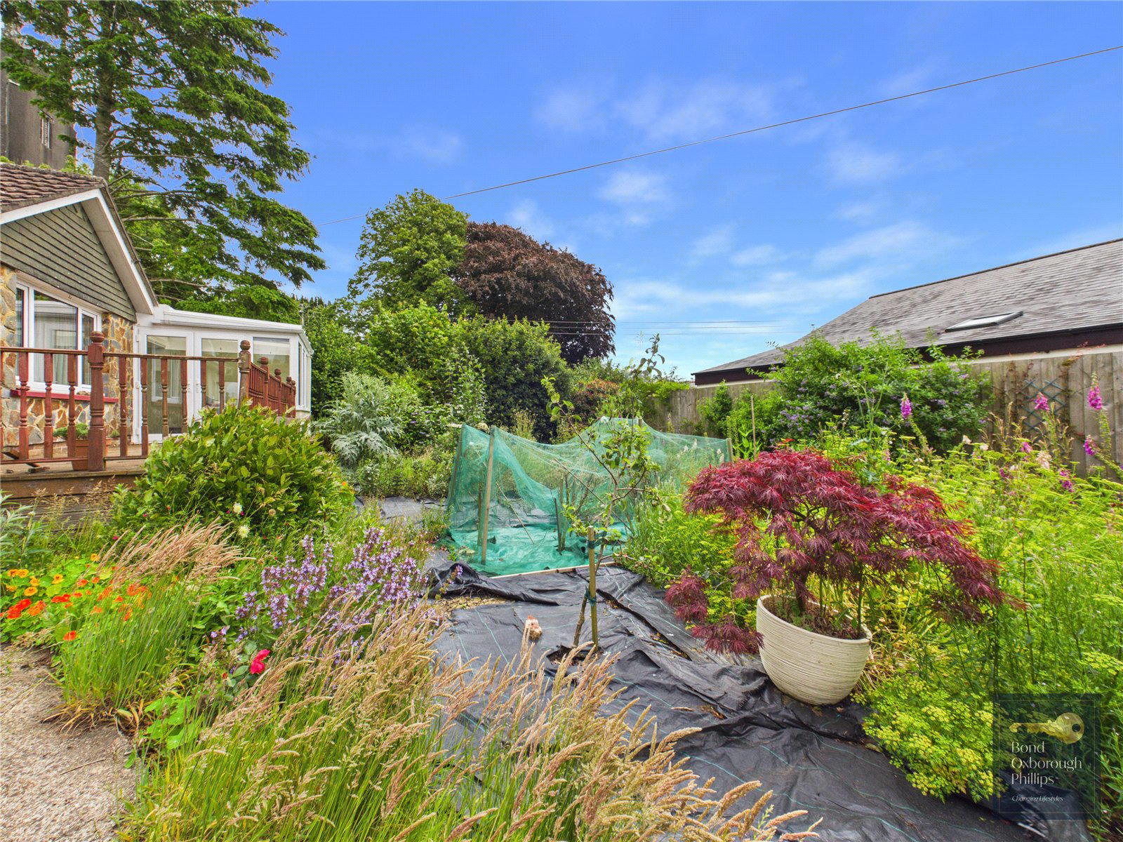 Little Torrington, Devon, EX38, photo 7