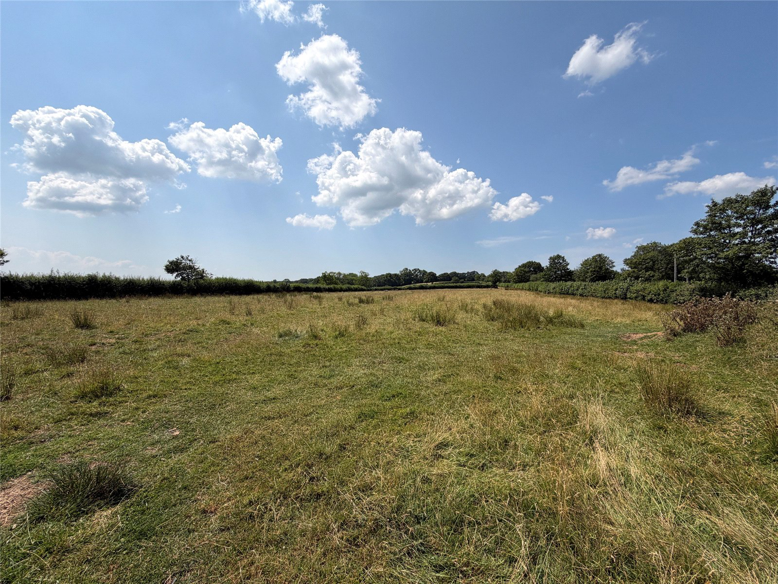 Southland Park, Highampton, Beaworthy, Devon, EX21, photo 4