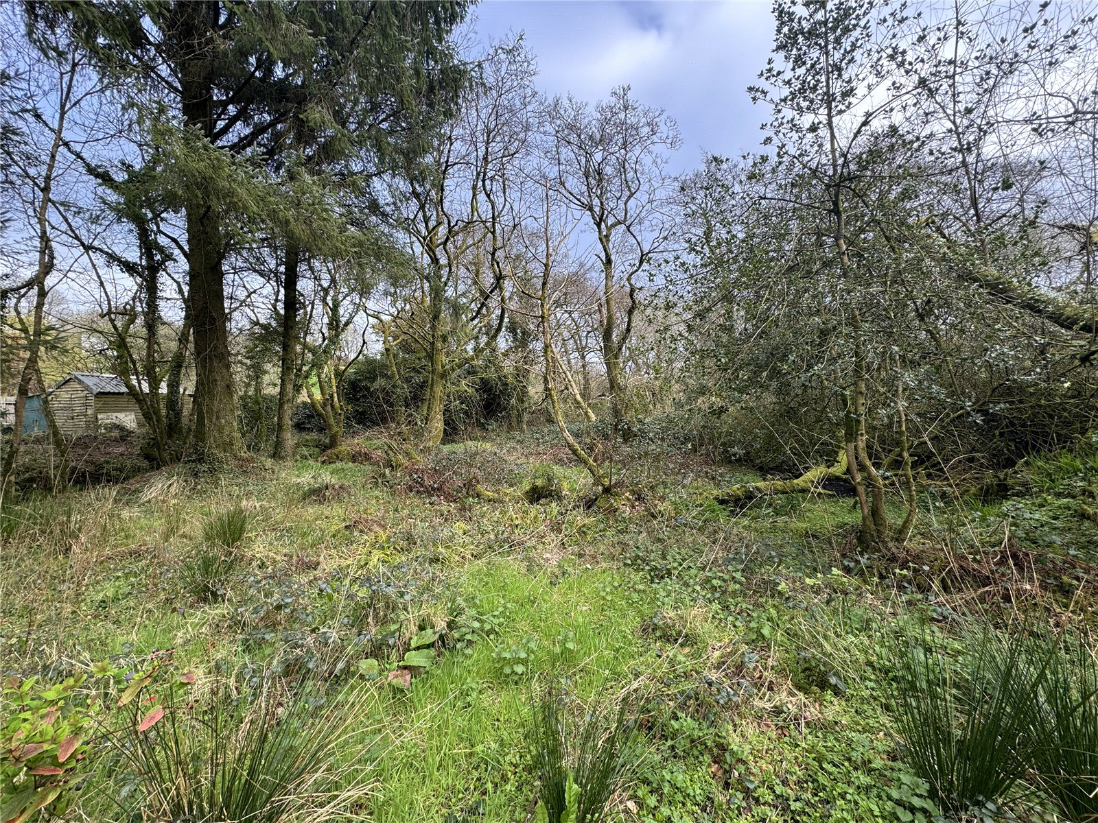 Bradworthy, Holsworthy, Devon, EX22, photo 11