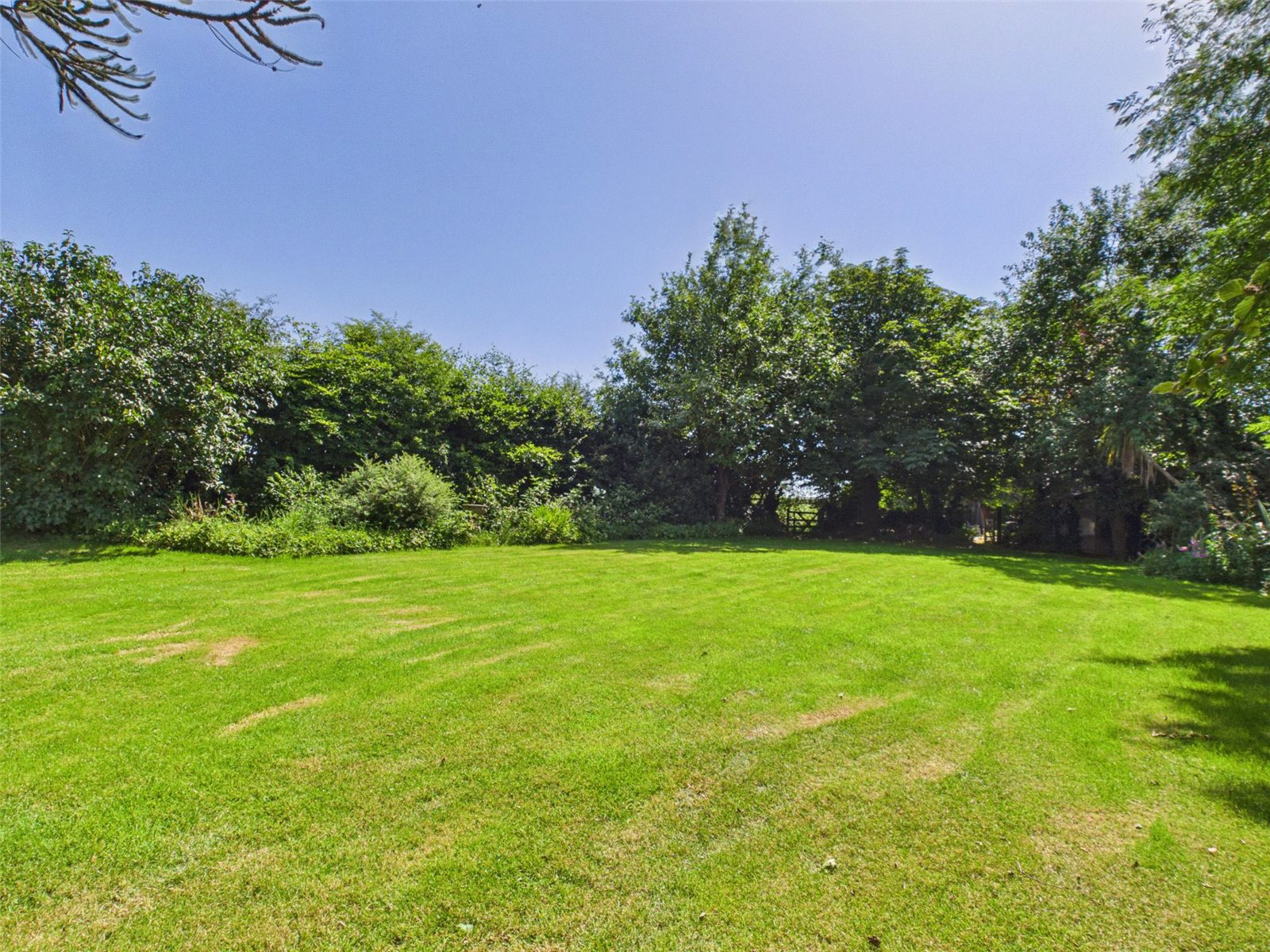 Trewen, Launceston, Cornwall, PL15, photo 21