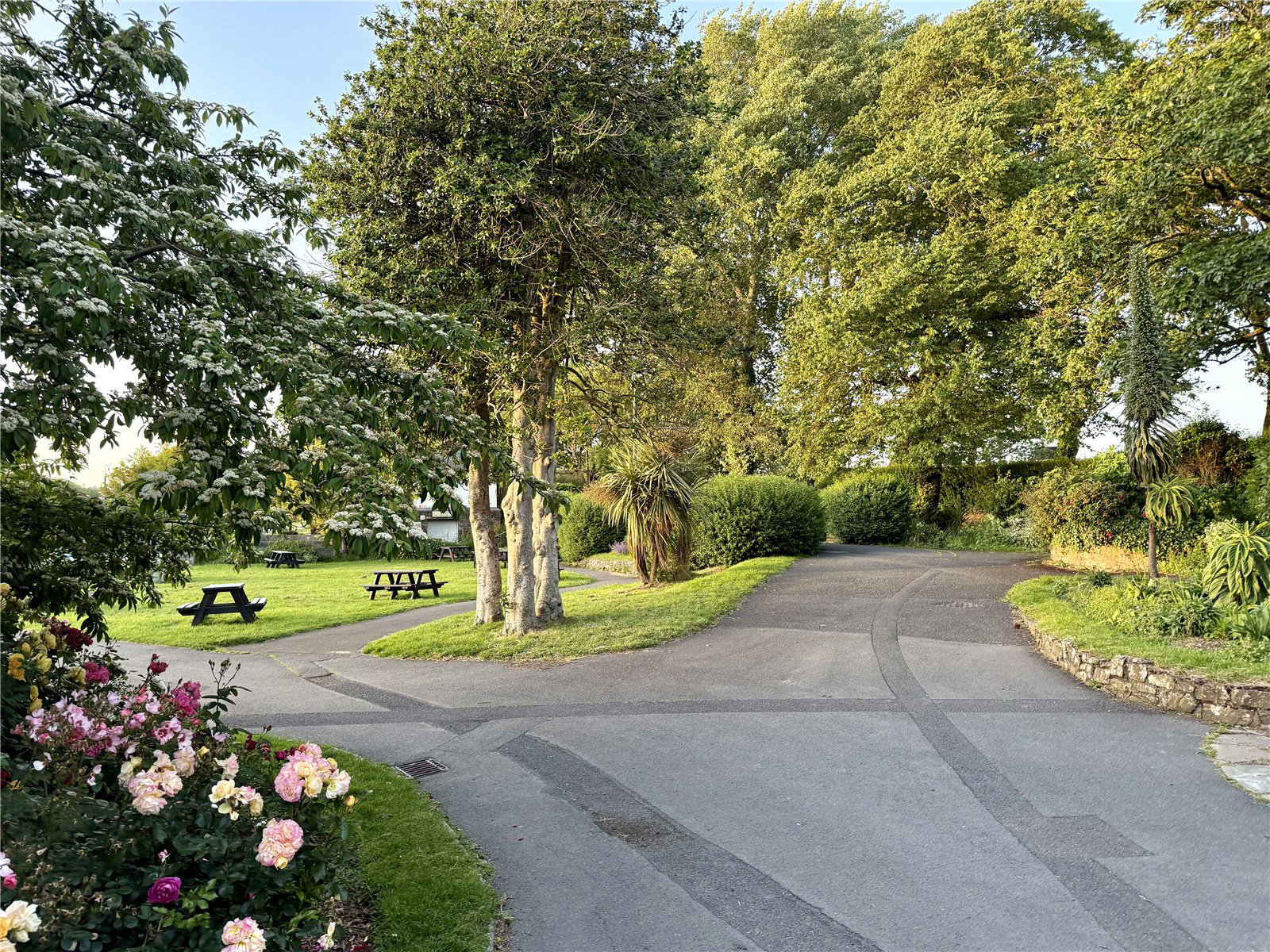 Park Avenue, Bideford, Devon, EX39, photo 16