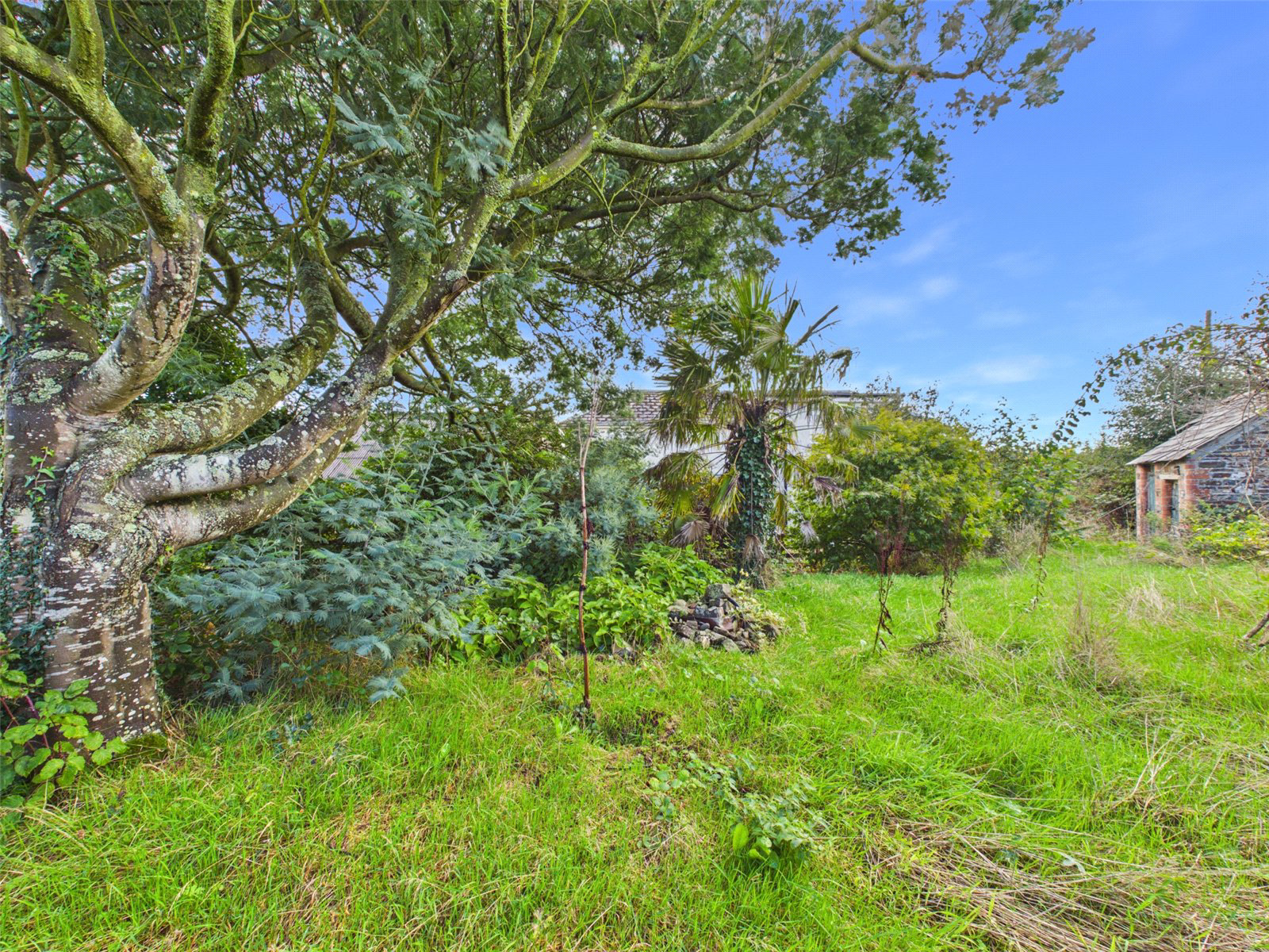 Western Side, Clawton, Holsworthy, Devon, EX22, photo 20