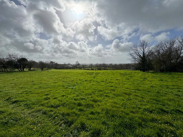 Pyworthy, Holsworthy, EX22, photo 23