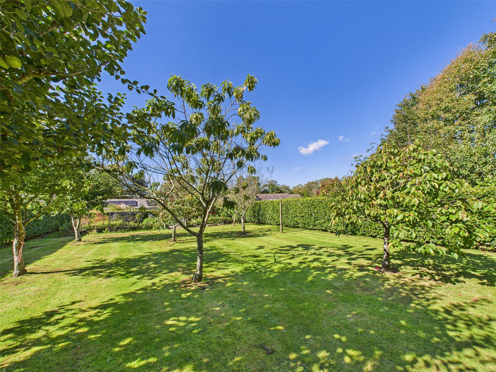 Tredinnick Road, St. Mabyn, Bodmin, PL30, photo 22