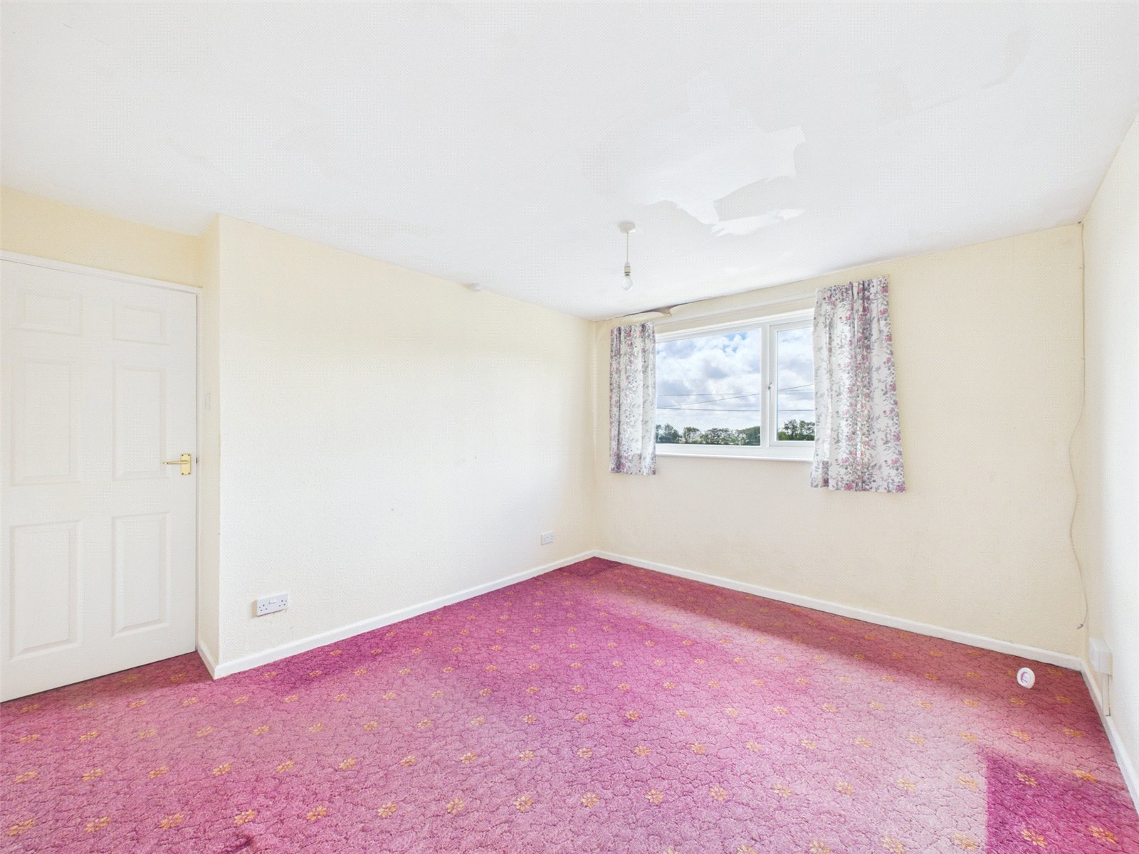 Beech Park, Holsworthy Beacon, Holsworthy, Devon, EX22, photo 10