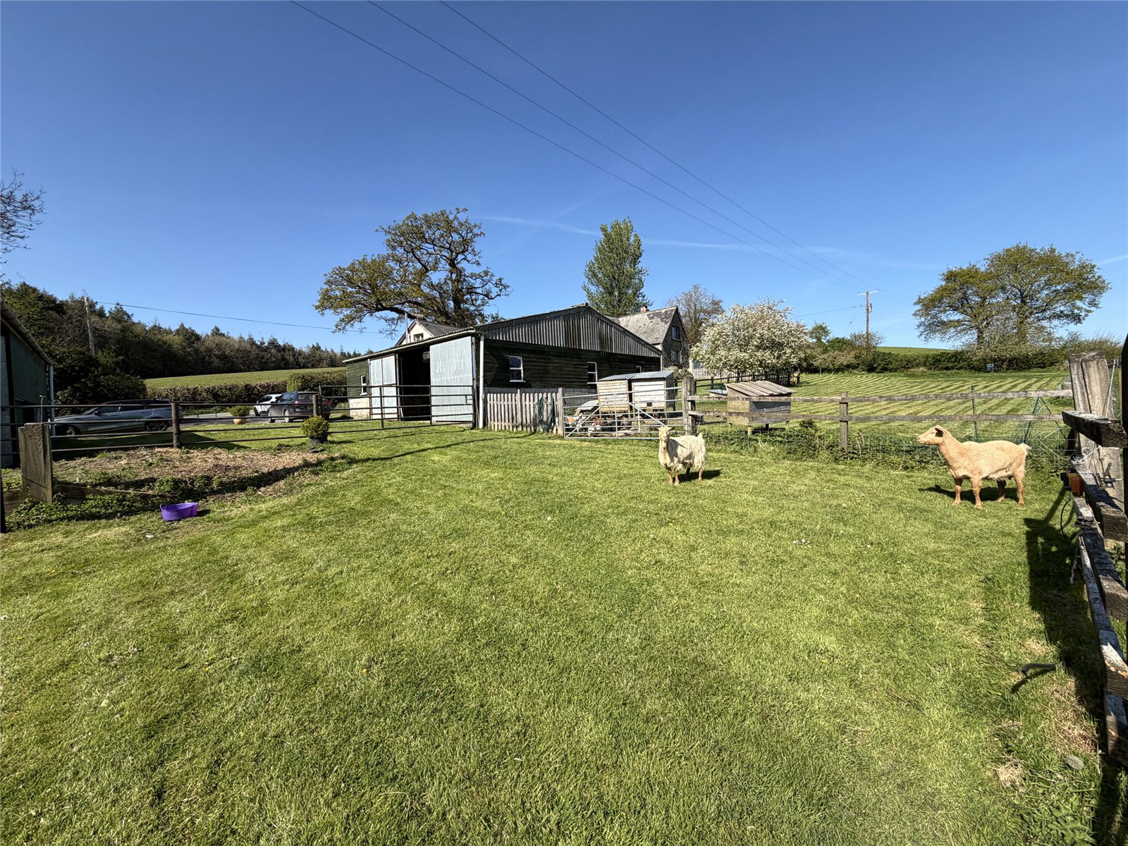 Buckland Filleigh, Beaworthy, Devon, EX21, photo 19