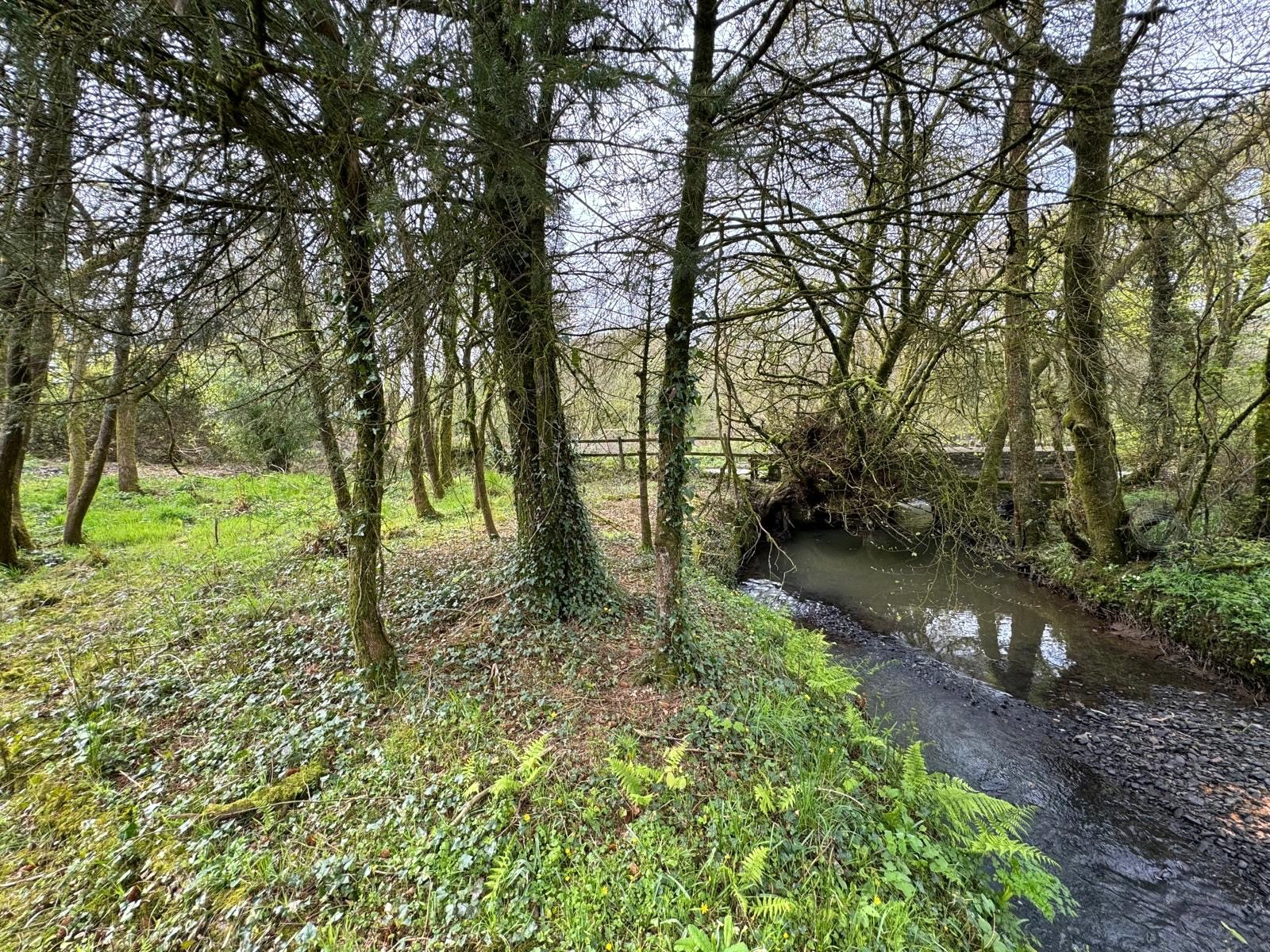 Bradworthy, Holsworthy, Devon, EX22, photo 8