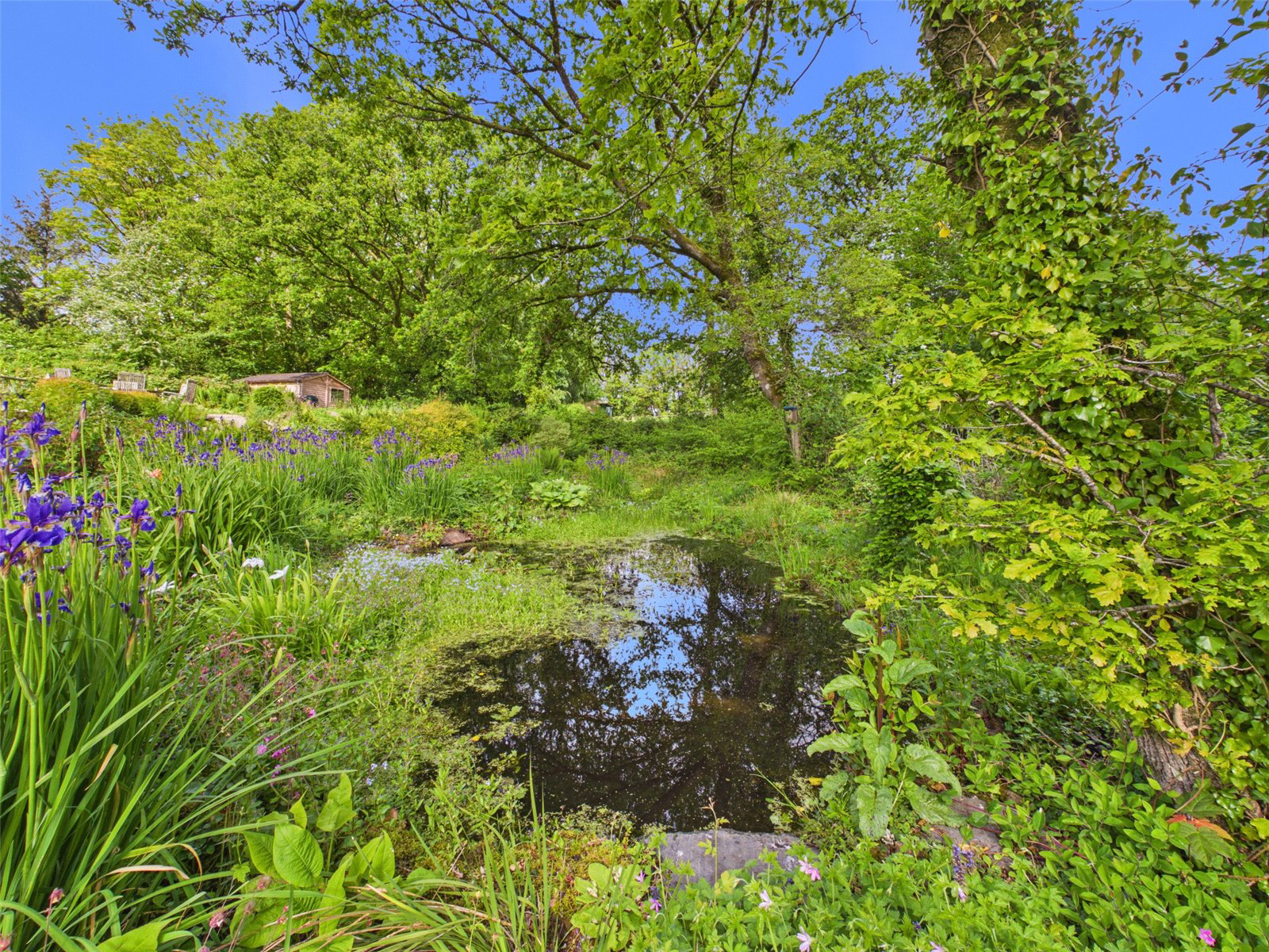 Pyworthy, Holsworthy, Devon, EX22, photo 21