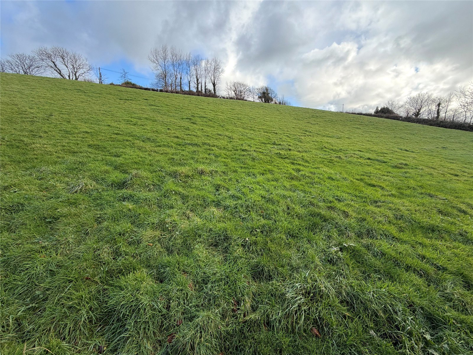 Townsend, Stratton, Bude, Cornwall, EX23, photo 7