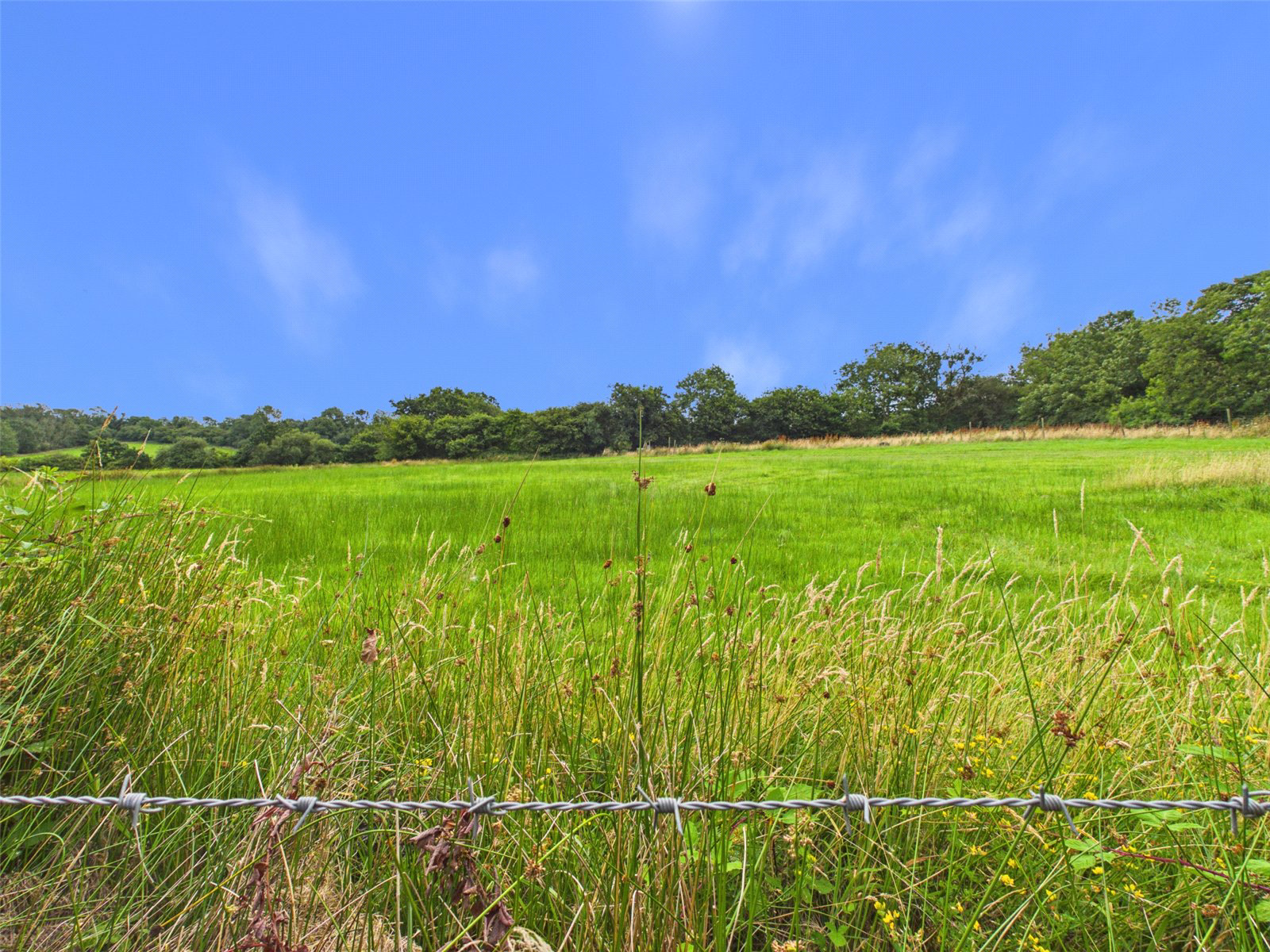 Molesworth Way, Holsworthy, Devon, EX22, photo 15