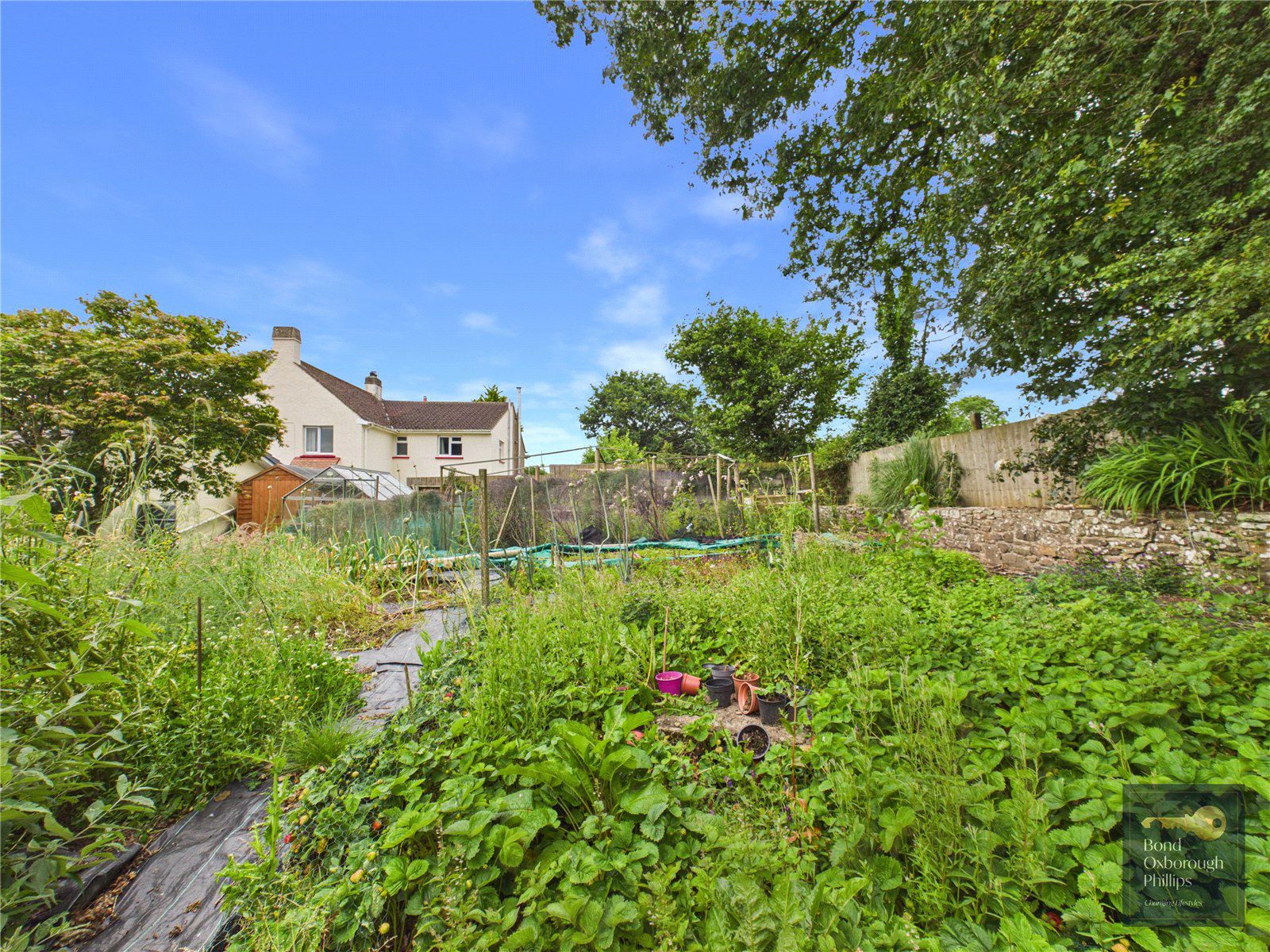 Little Torrington, Devon, EX38, photo 2