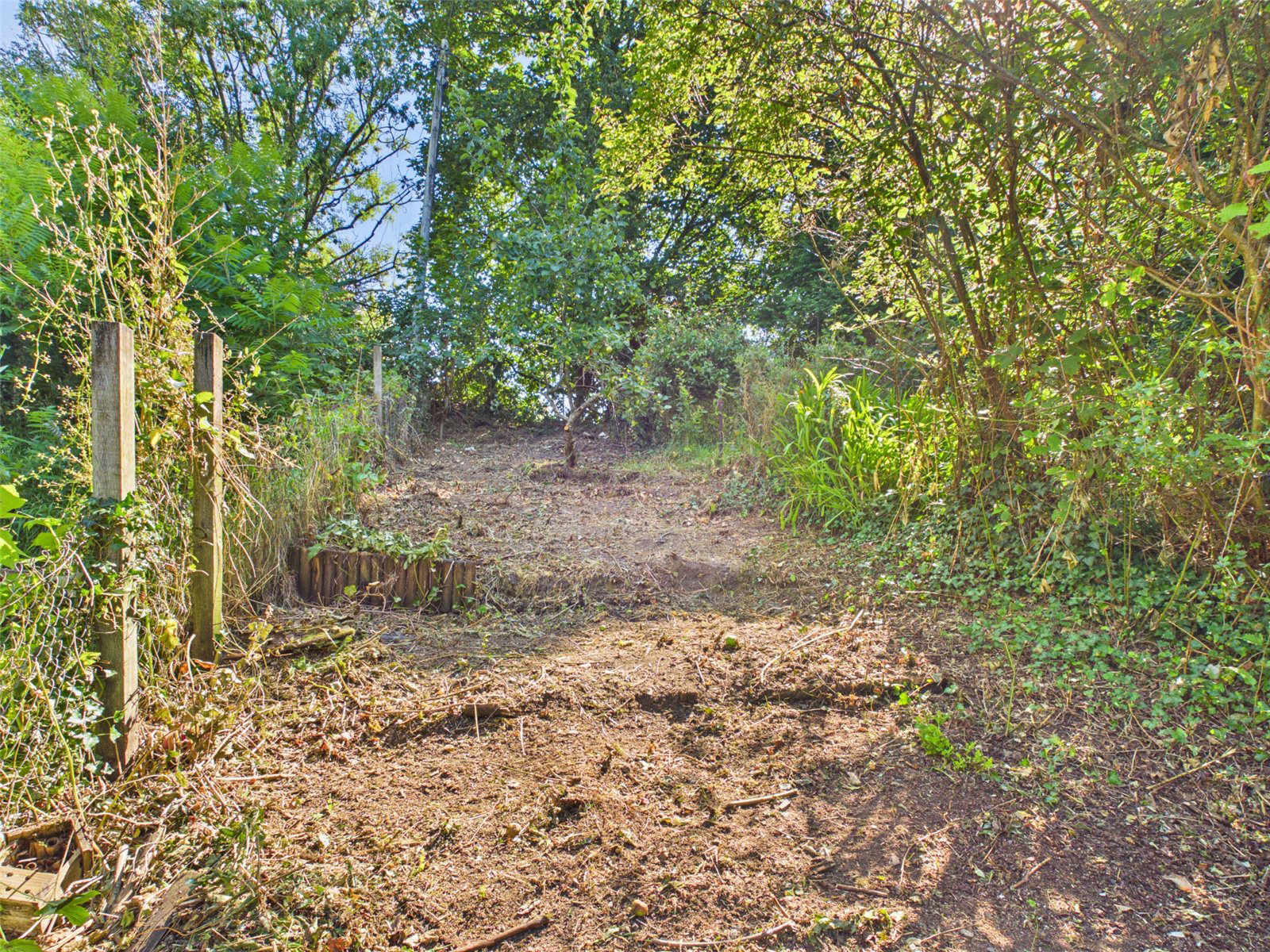 Trelawny Road, Tavistock, Devon, PL19, photo 11