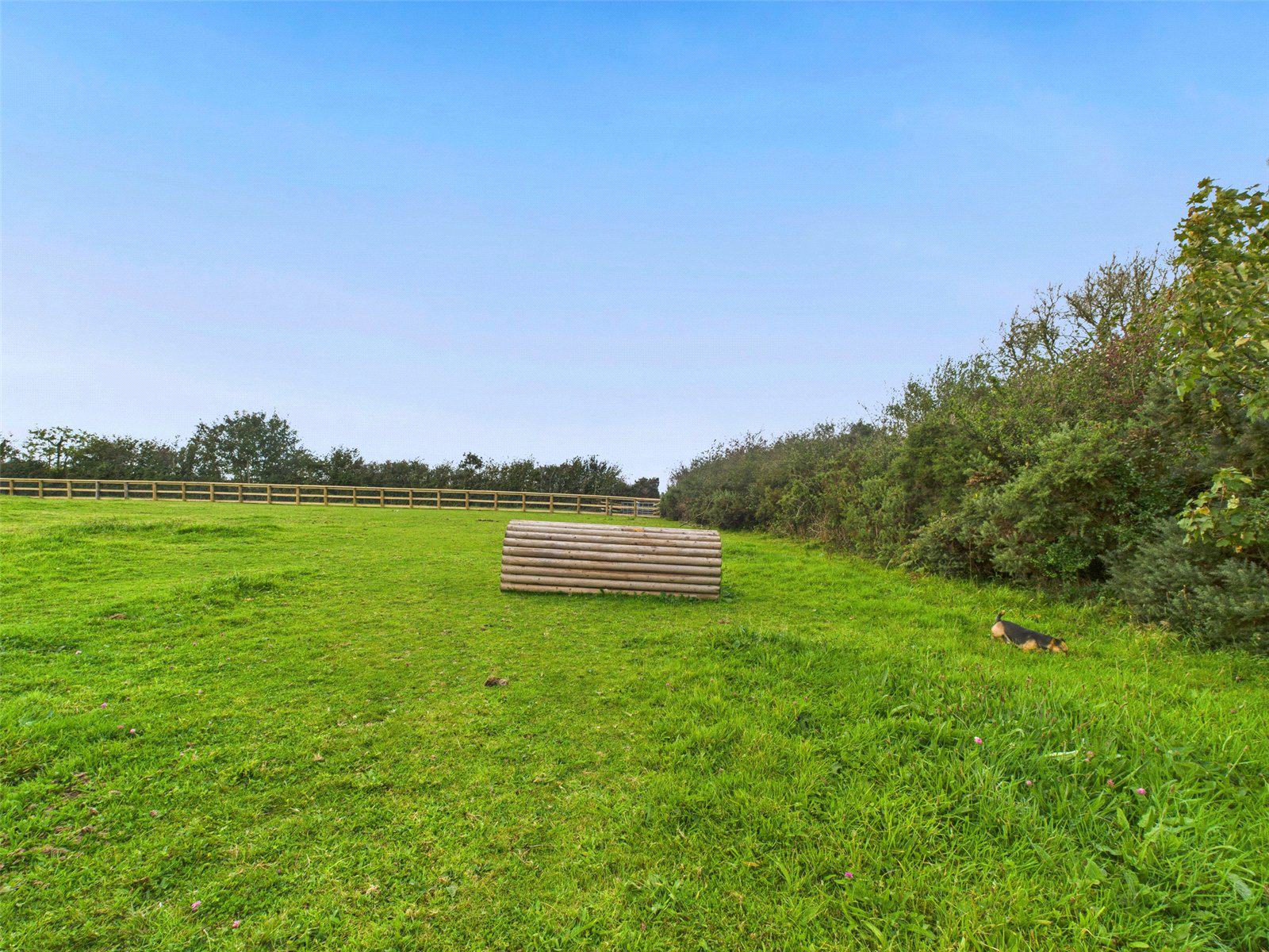 Higher Killatree Farm, Killatree, Holsworthy, Devon, EX22, photo 47