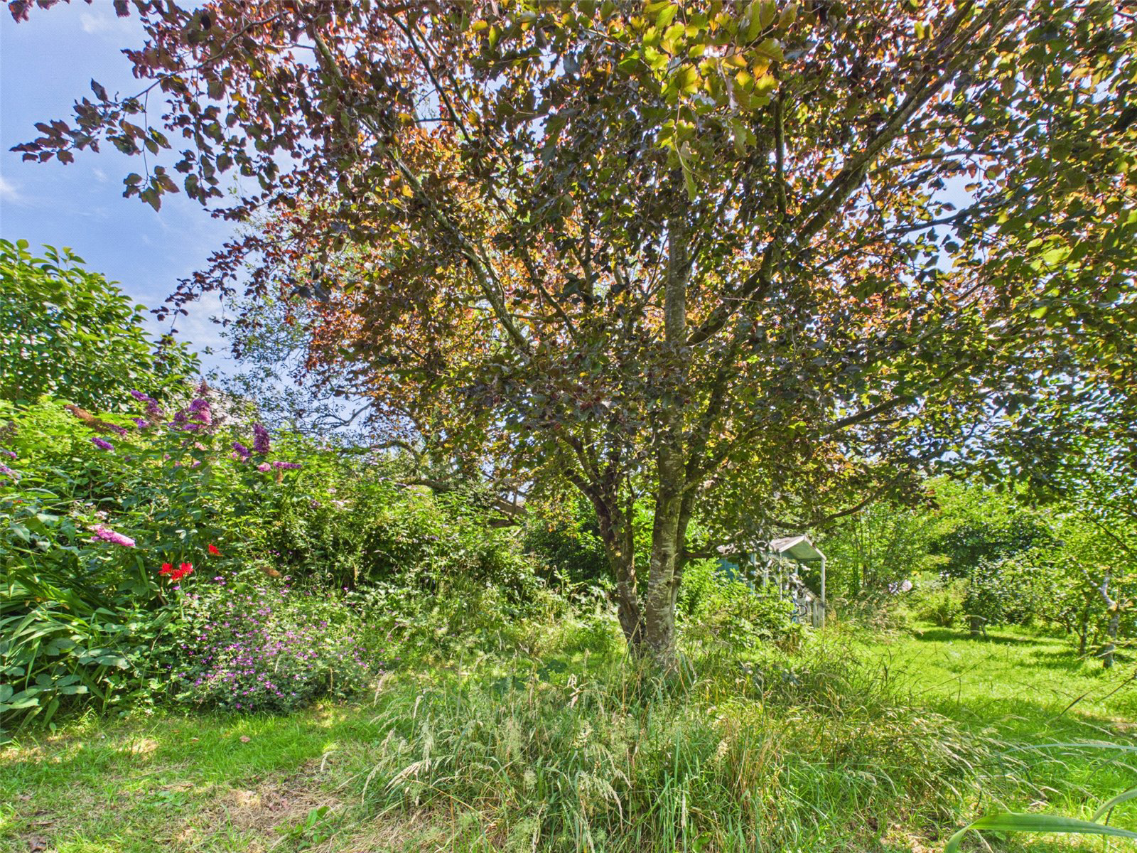Venn Hill, Milton Abbot, Tavistock, Devon, PL19, photo 12