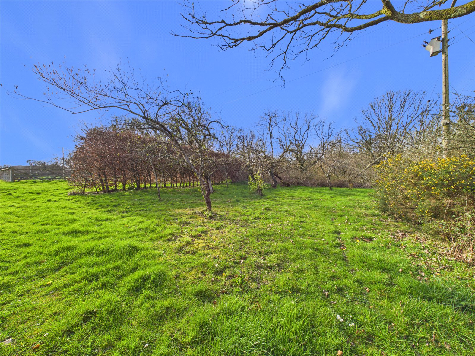Hatherleigh, Okehampton, Devon, EX20, photo 28