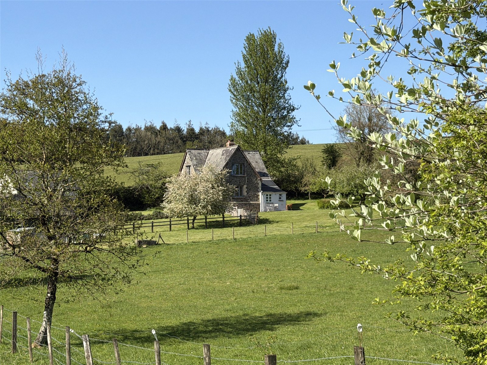 Buckland Filleigh, Beaworthy, Devon, EX21, photo 23