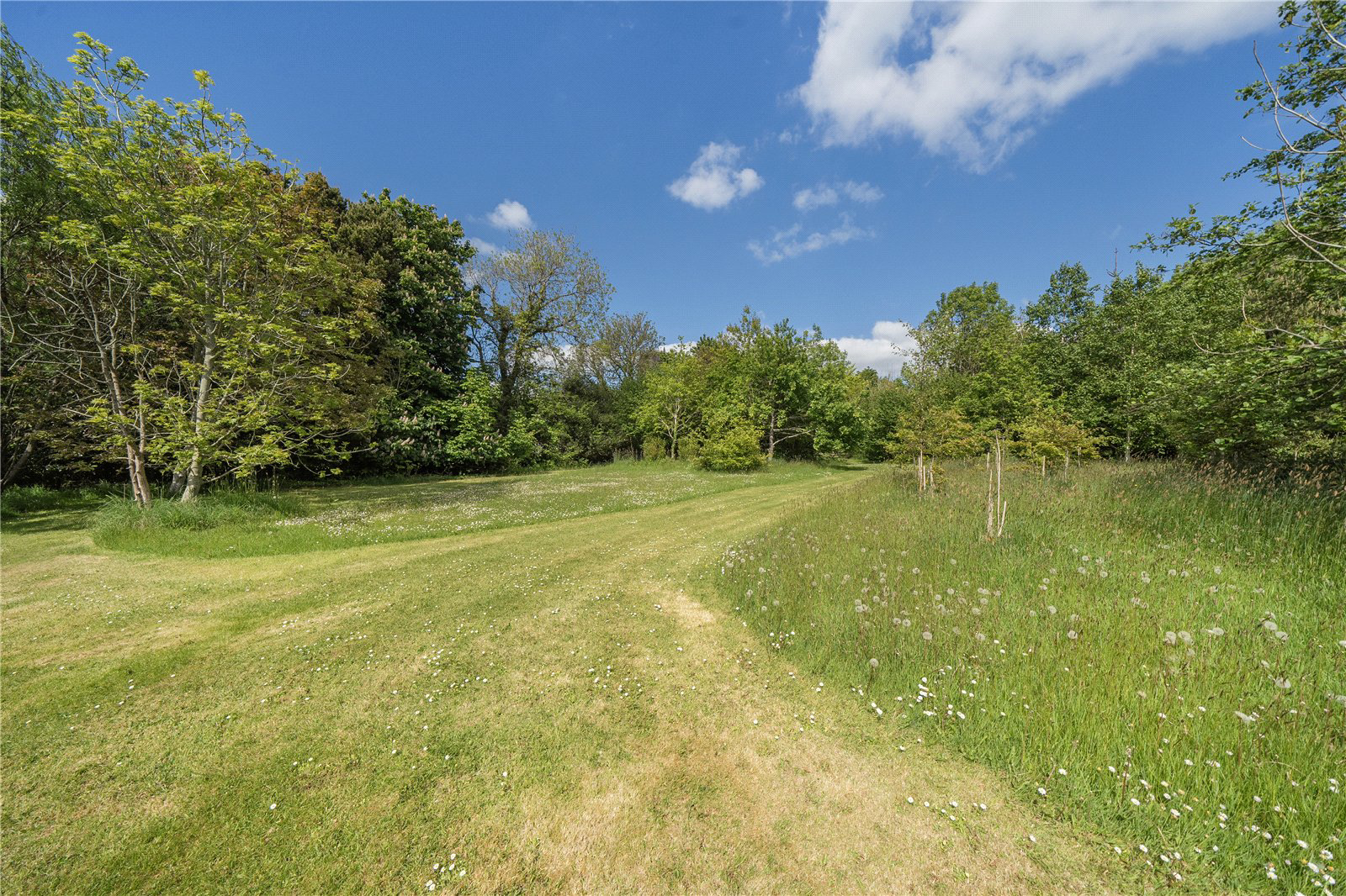 Pyworthy, Holsworthy, EX22, photo 24