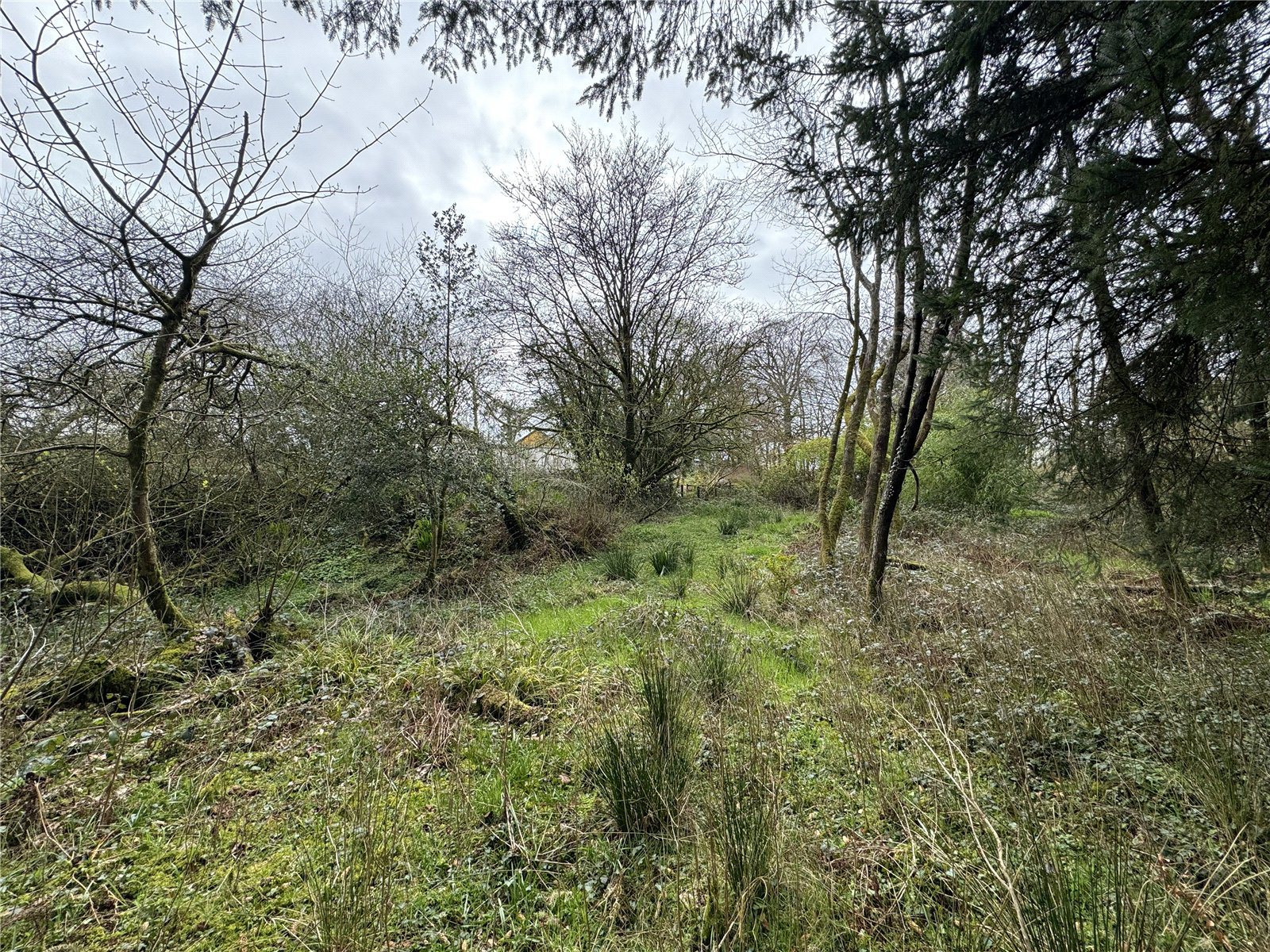 Bradworthy, Holsworthy, Devon, EX22, photo 10