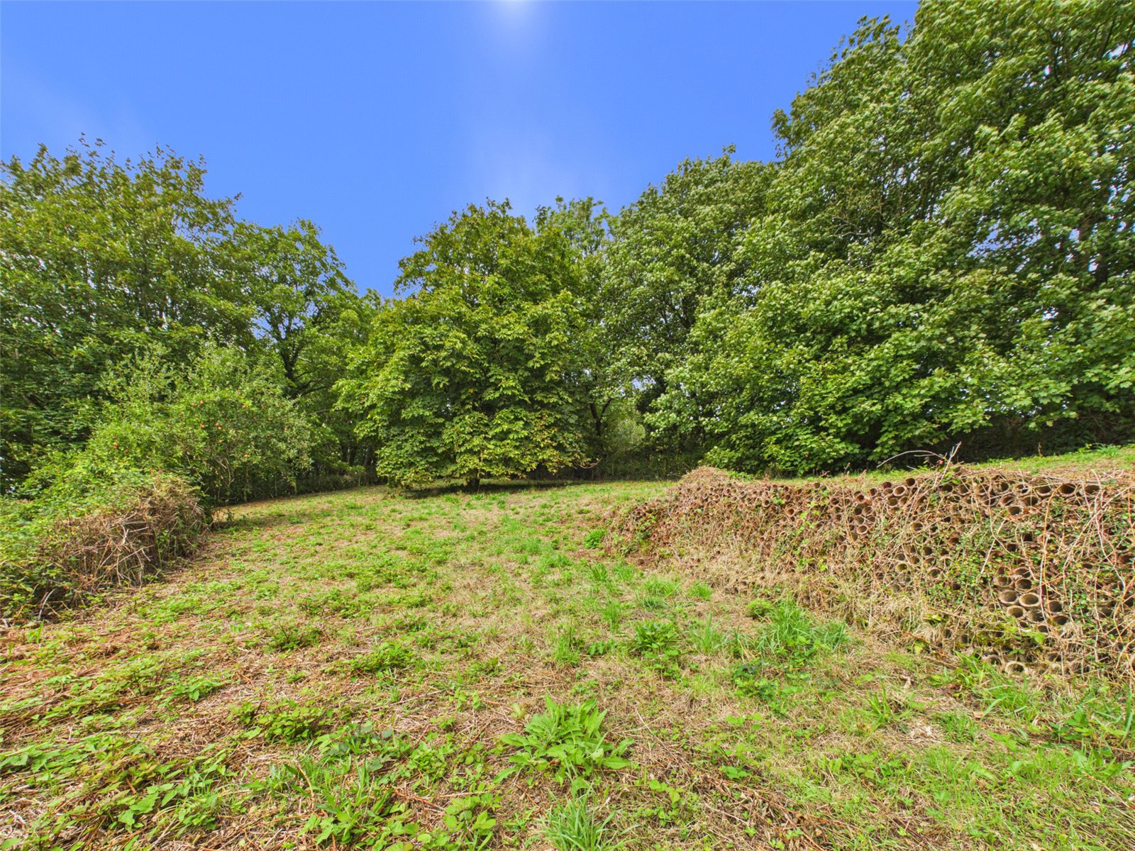 Newton St. Petrock, Holsworthy, Devon, EX22, photo 20